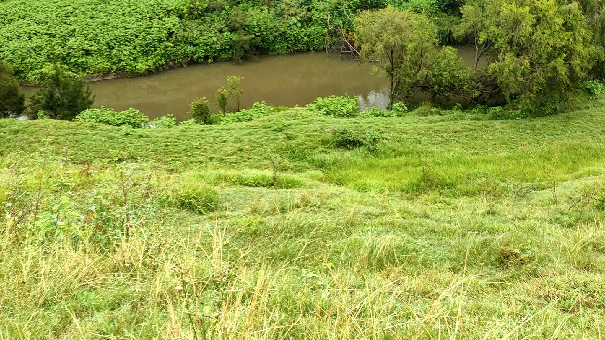 Albert_River_Camping_1