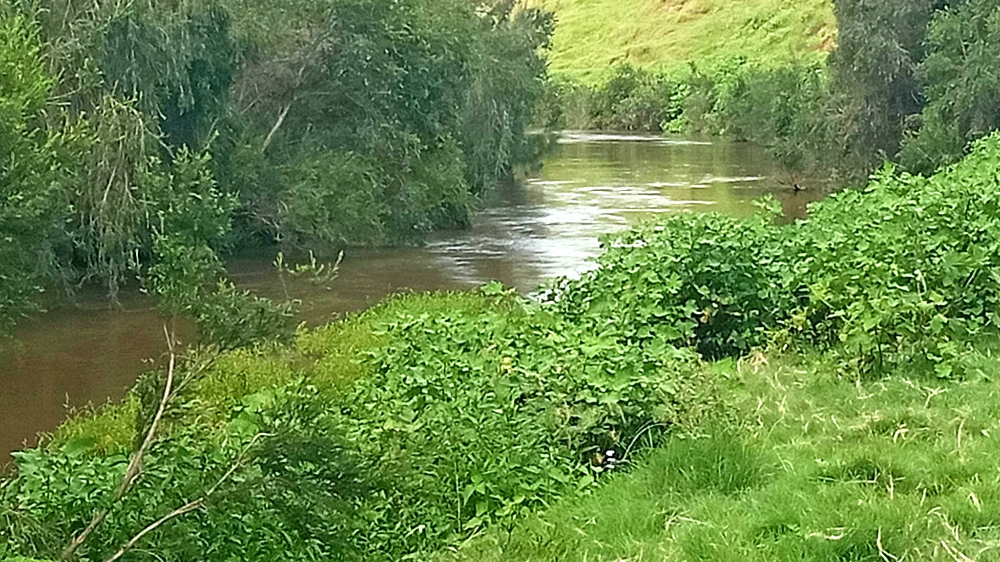 Albert_River_Camping_2