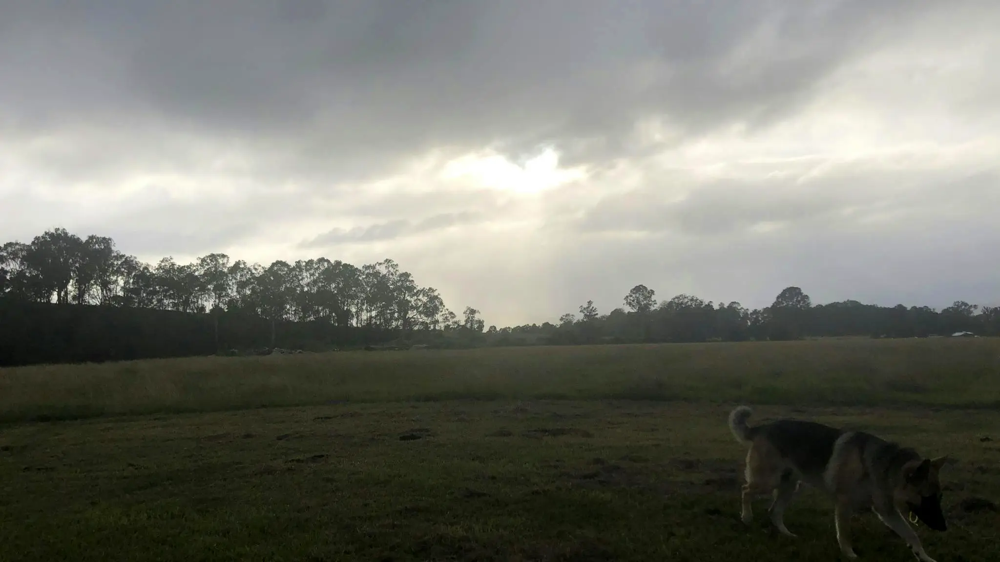 Albert_River_Camping_5