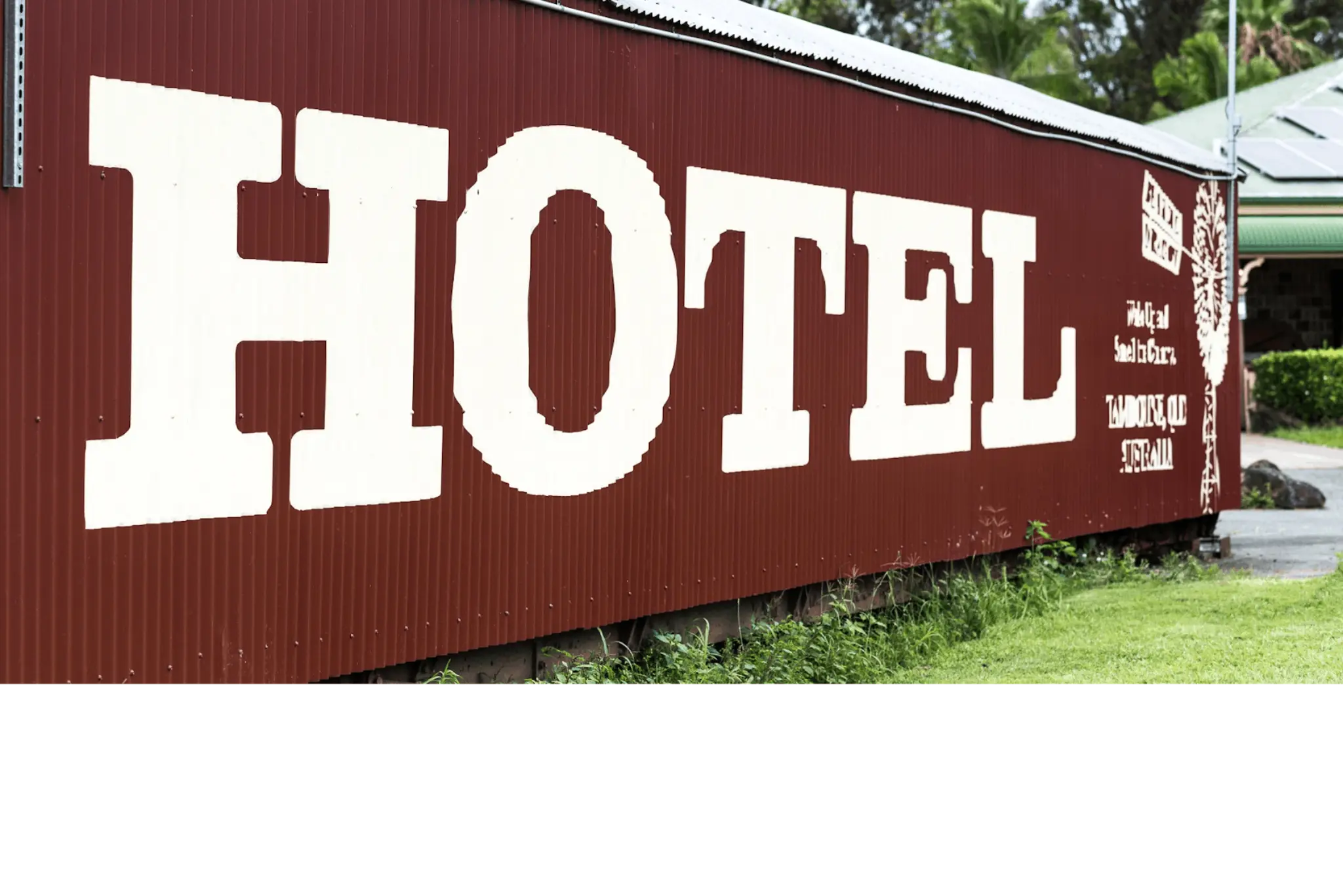 Bearded_Dragon_Hotel_6