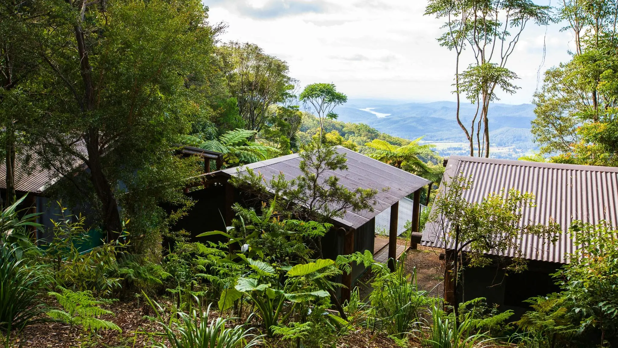 Binna_Burra_Rainforest_Campsite_and_Safari_Tents_1