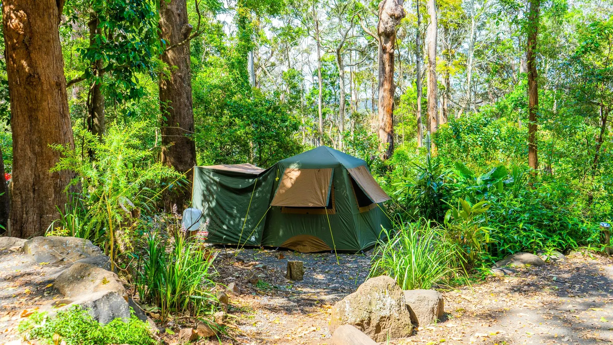 Binna_Burra_Rainforest_Campsite_and_Safari_Tents_2