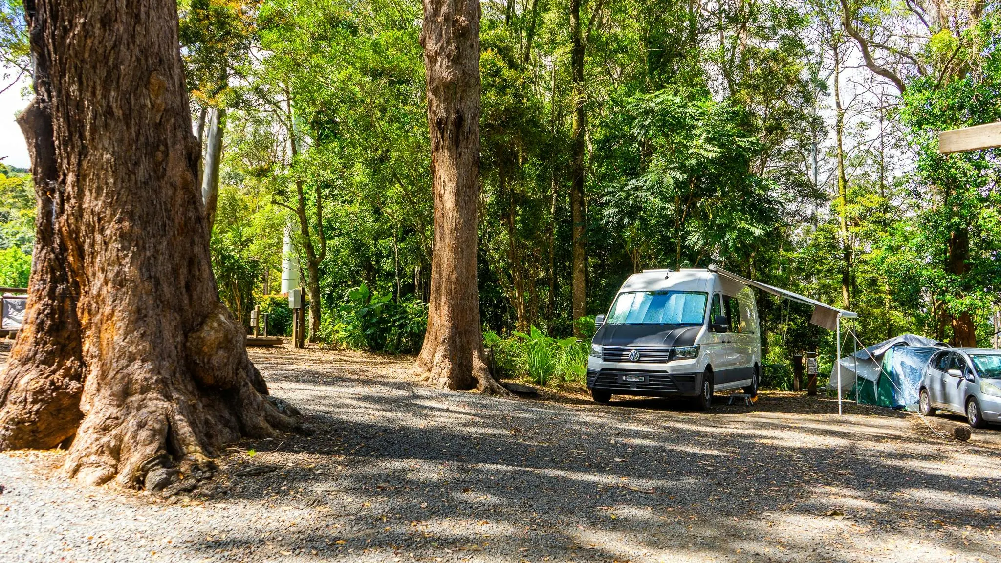Binna_Burra_Rainforest_Campsite_and_Safari_Tents_3