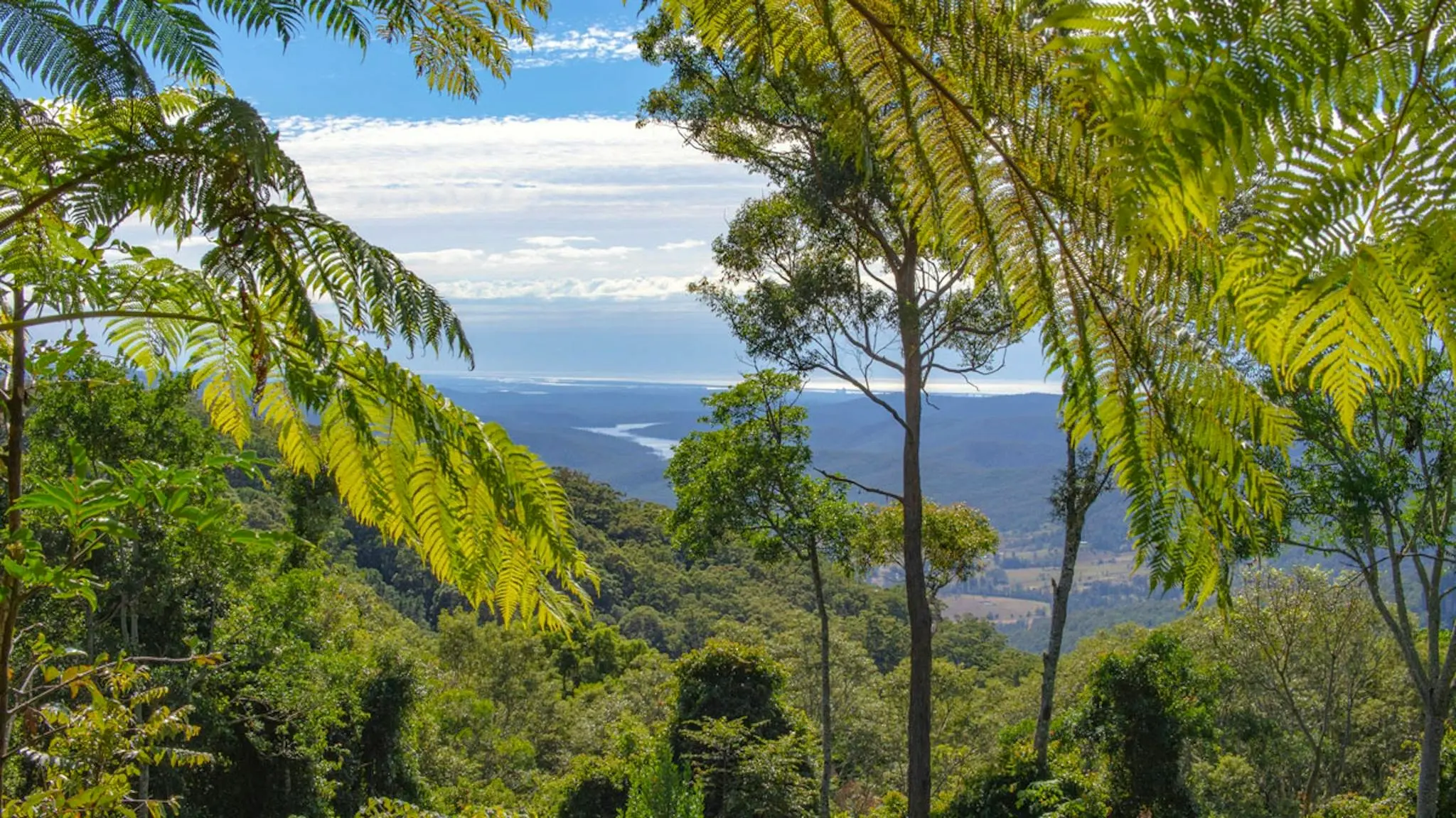 Binna_Burra_Rainforest_Campsite_and_Safari_Tents_4