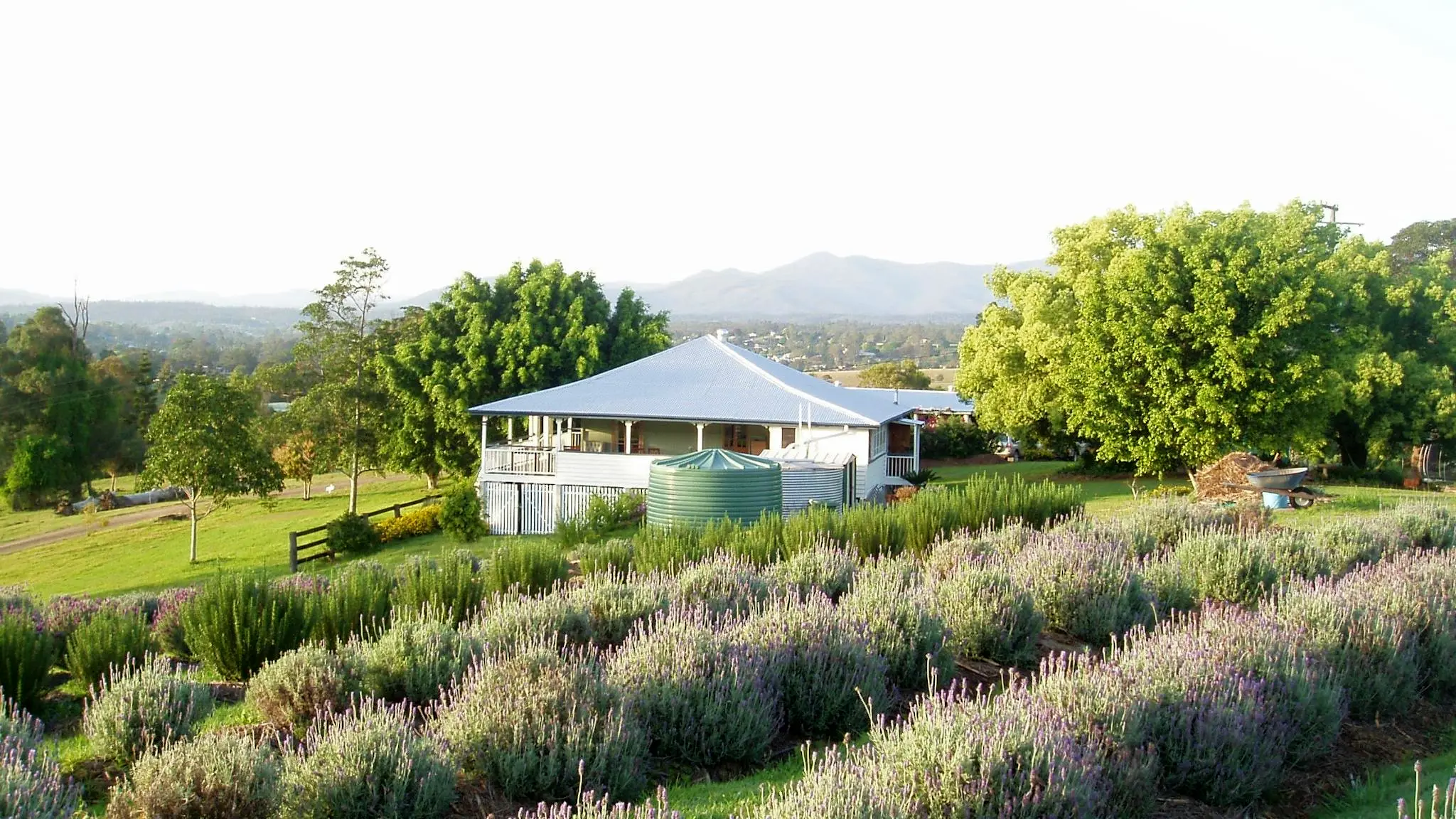 Blue_Ridge_Lavender_Cottage_1