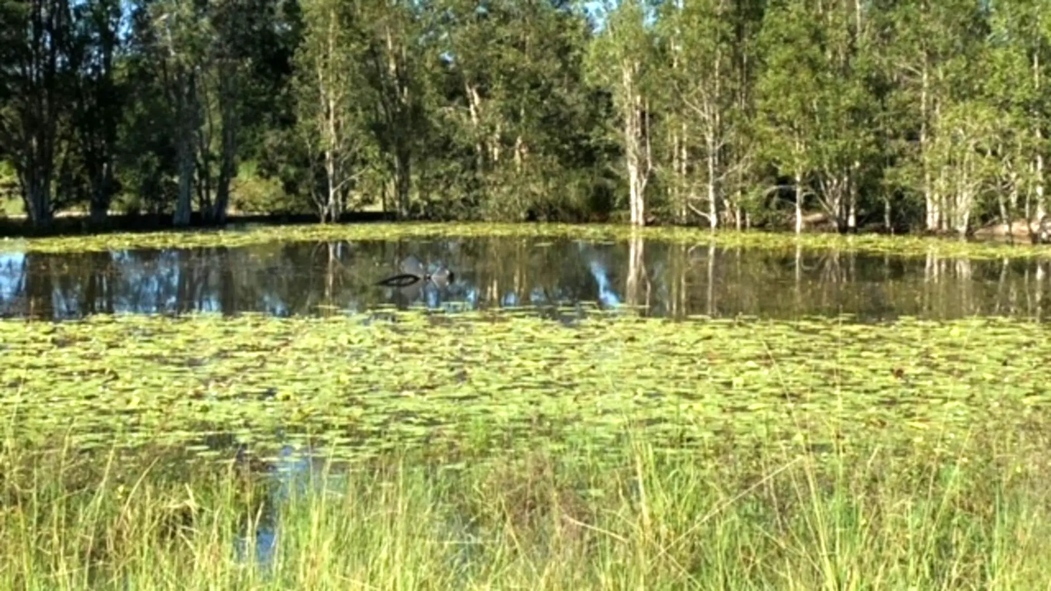 Caboolture_Country_Camp_5