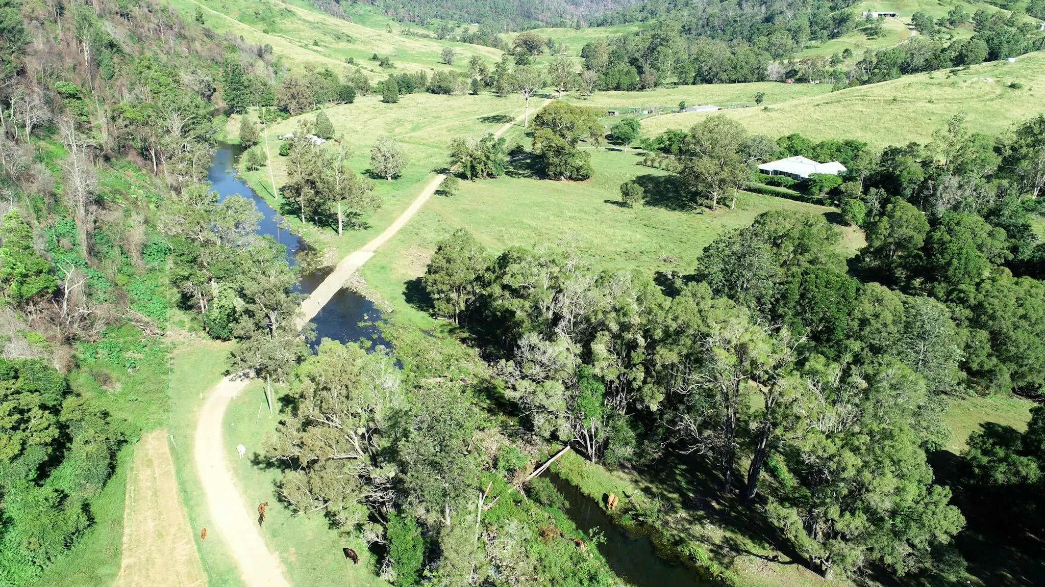 Canungra_Valley_Getaway_5