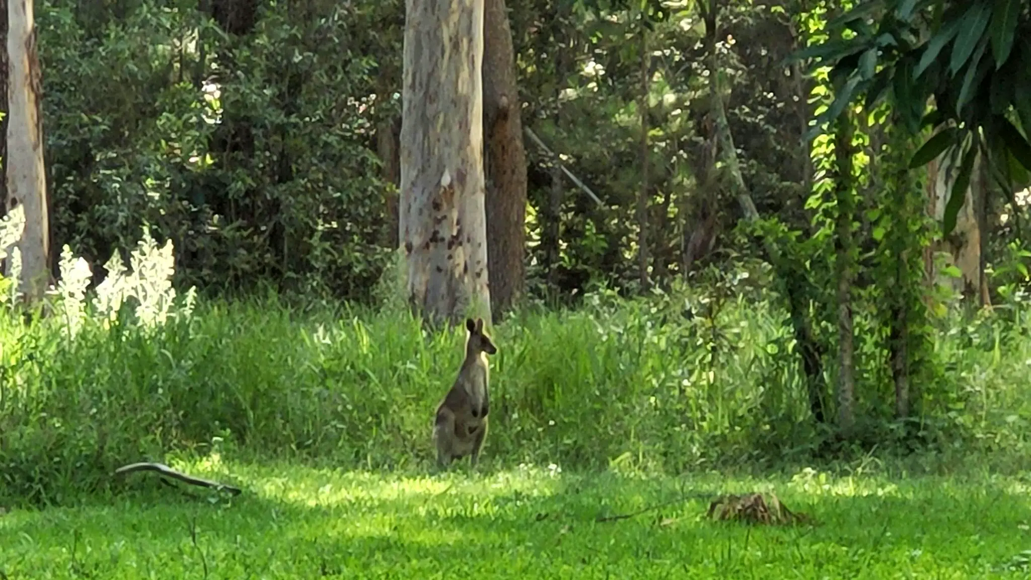 Creekside_Campsite_1