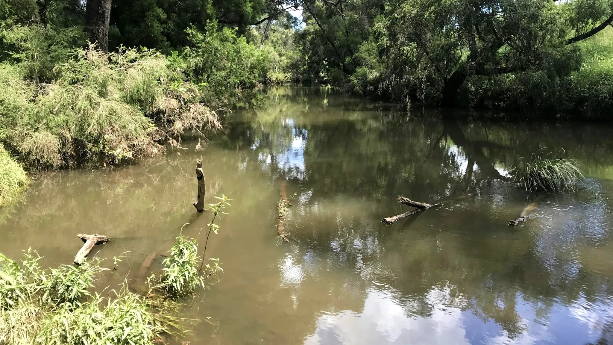 Eastgrove_Running_Creek_1
