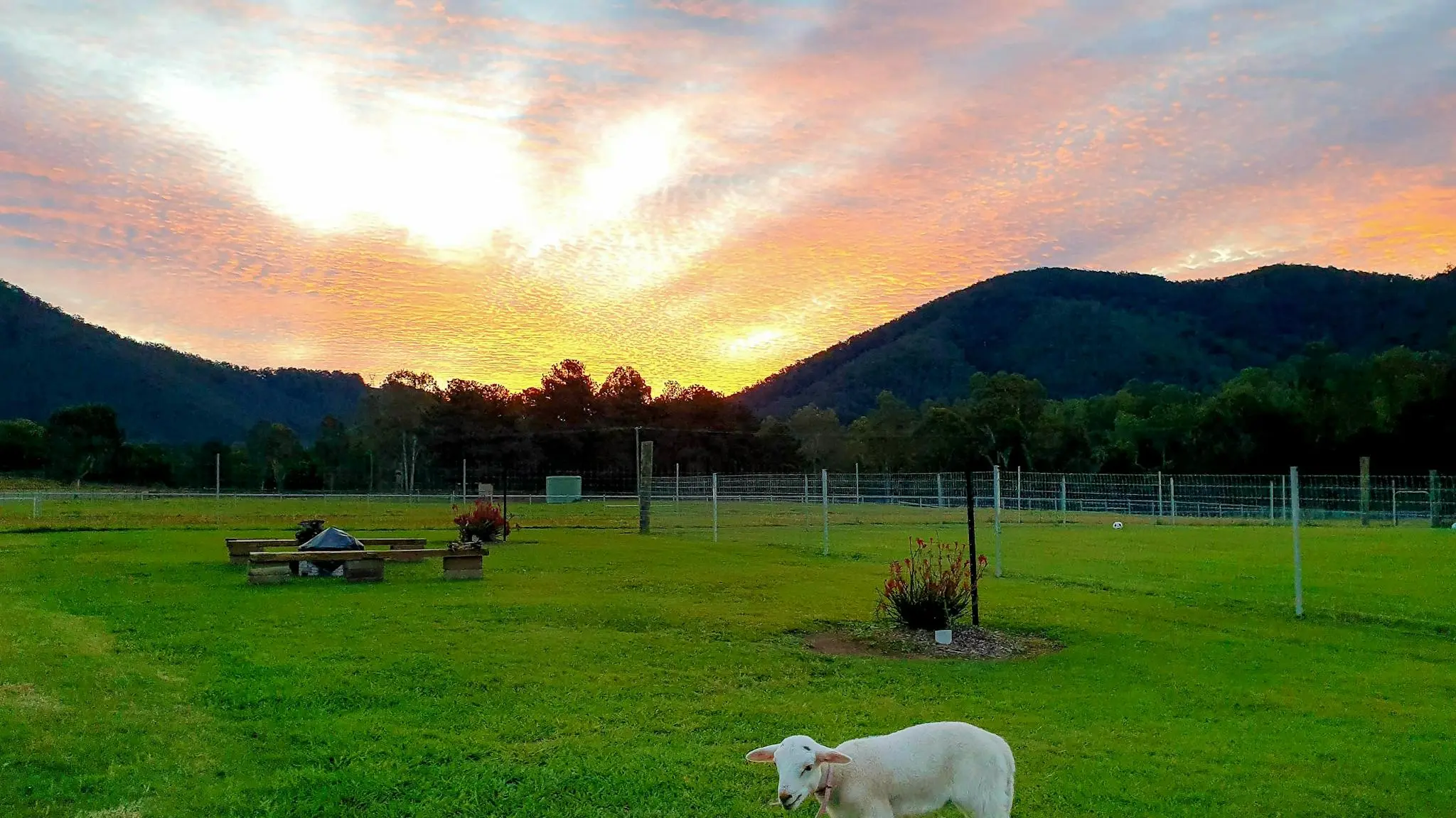 Fig_Tree_Farm_Stay_Highvale_1