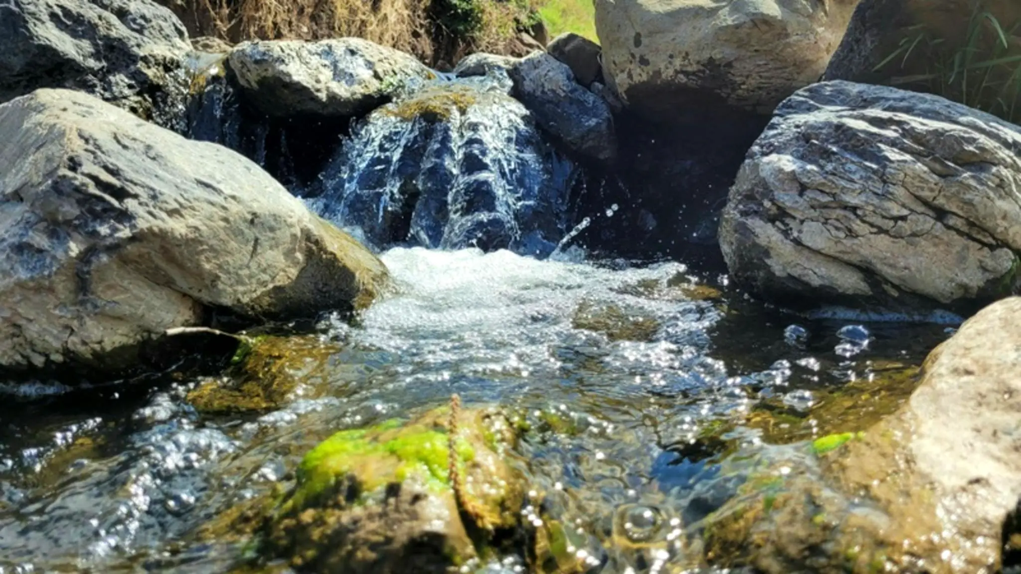 Frog’s_Hollo_Scenic_Rim_2