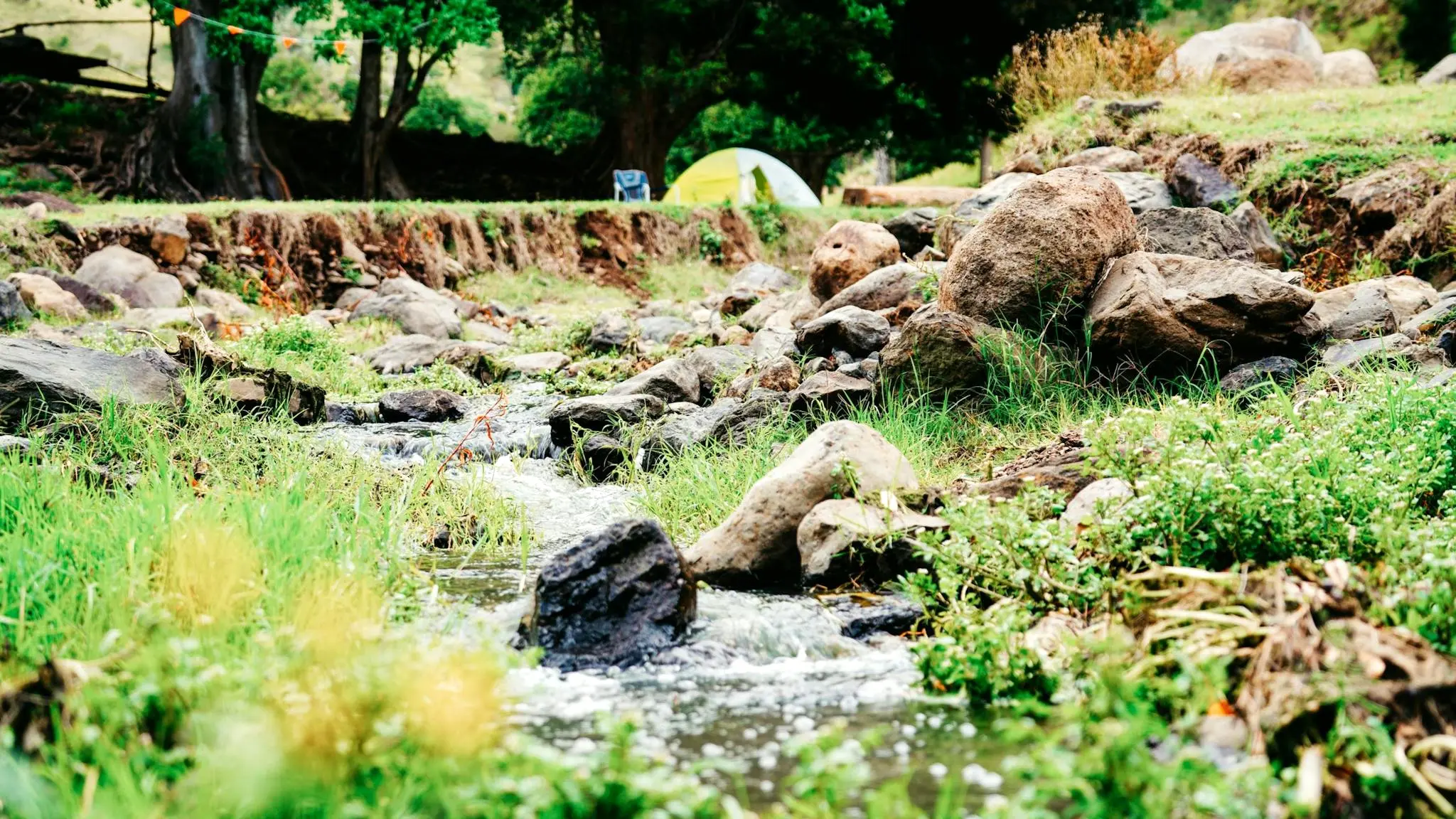 Frog’s_Hollo_Scenic_Rim_5