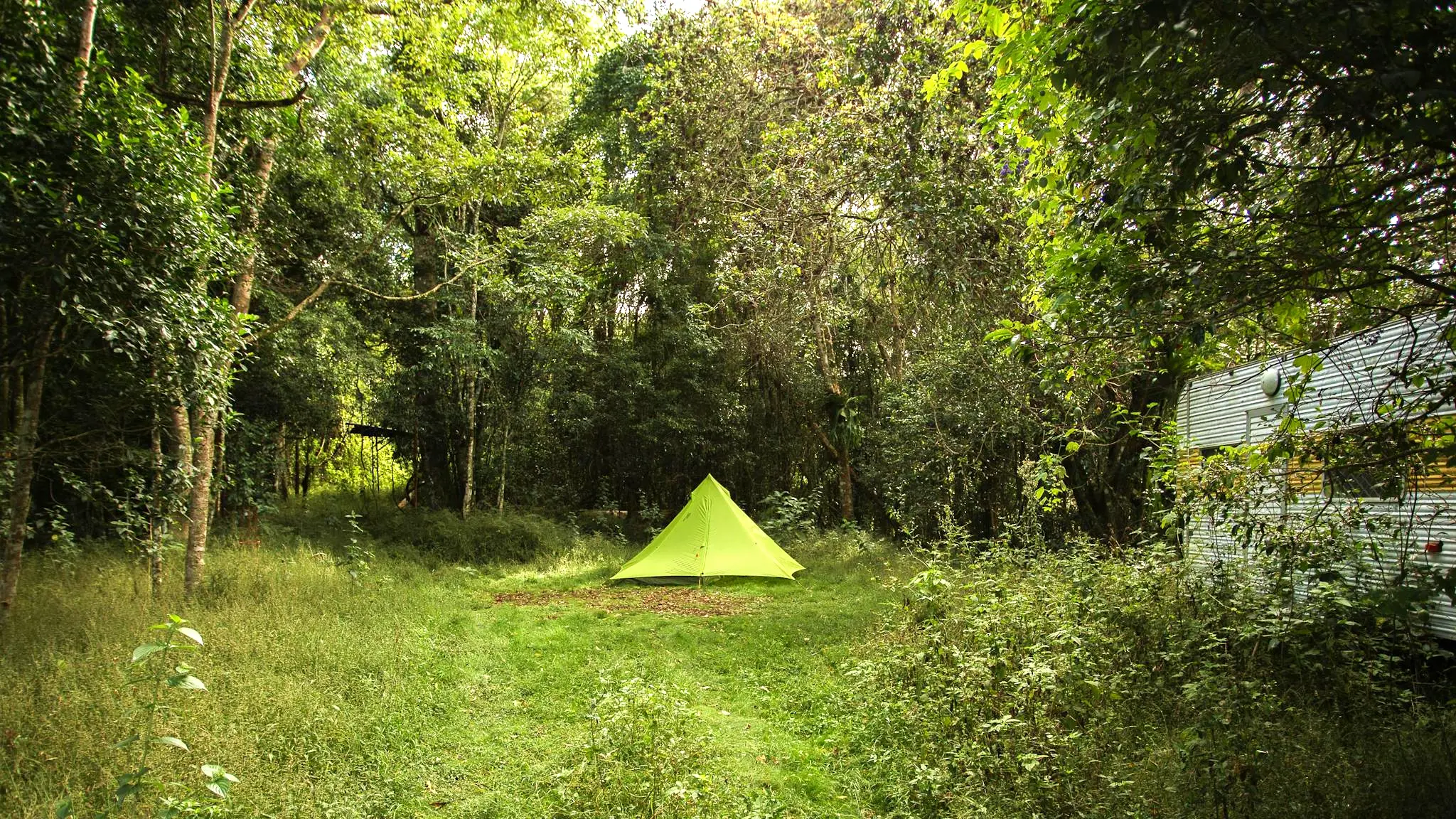 Kamarun_Lookout_Rainforest_Campsite_5