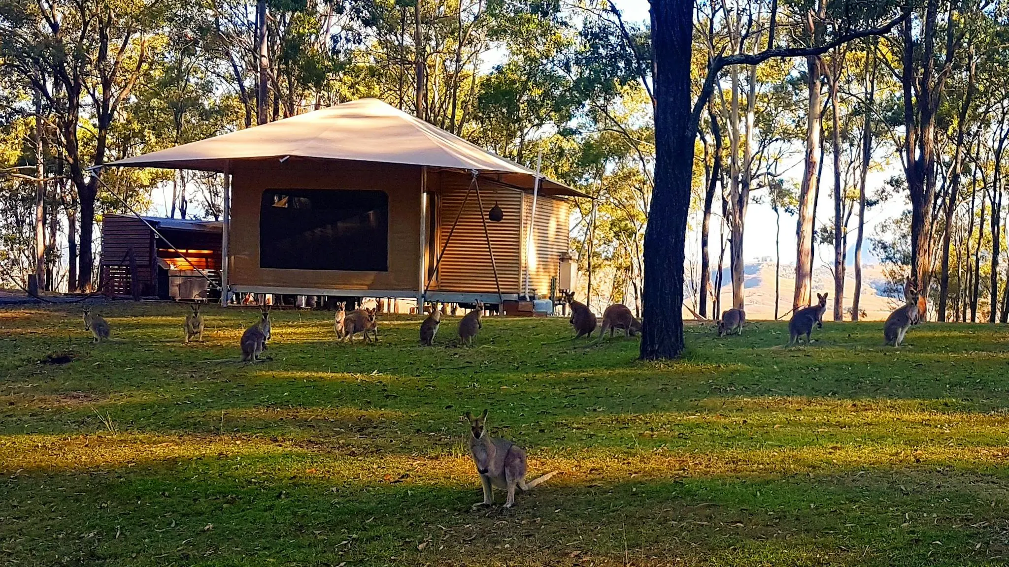 Ketchup's_Bank_Glamping_3