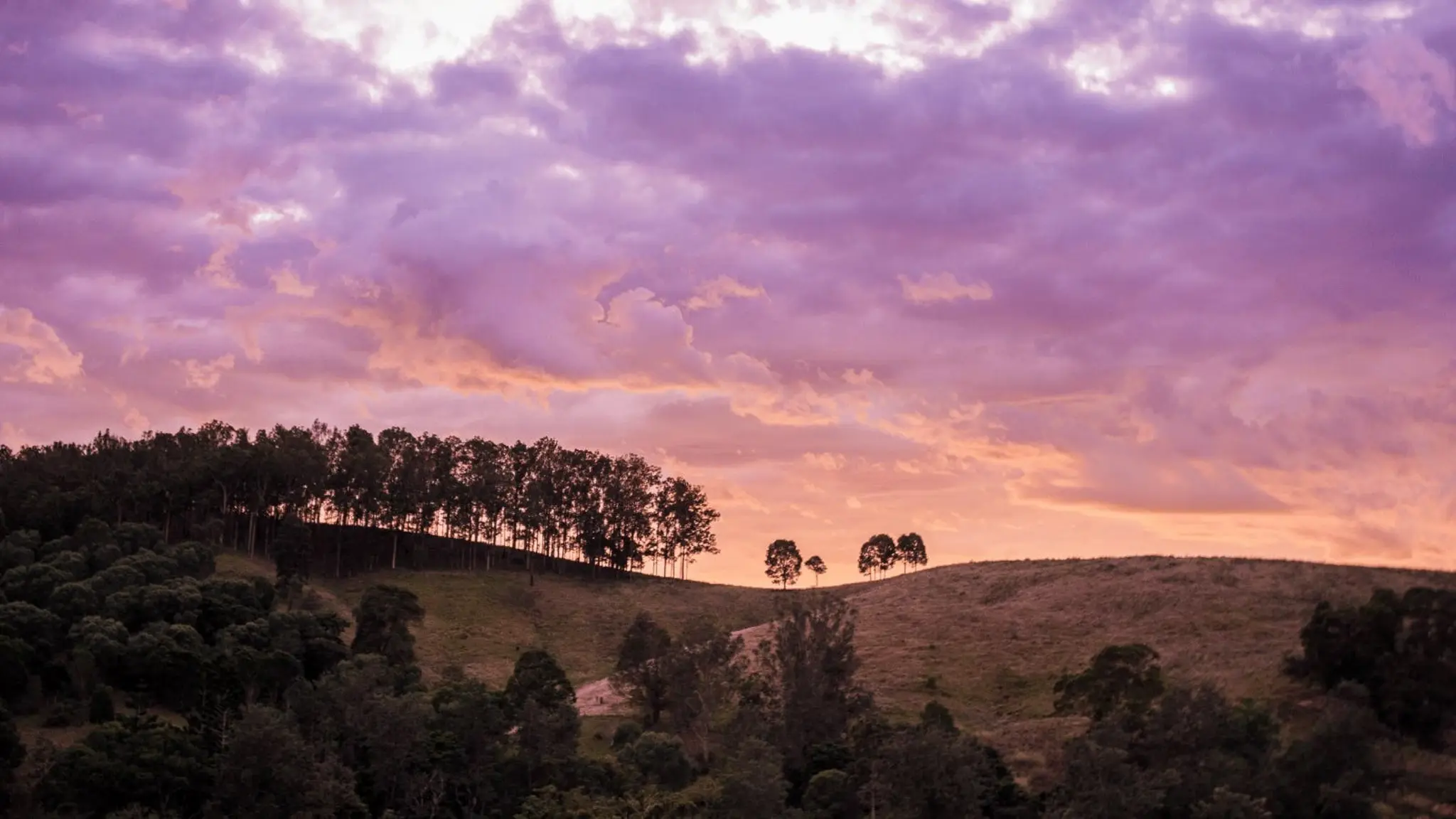 Laceys_Creek_Homestead_and_Vineyard_10