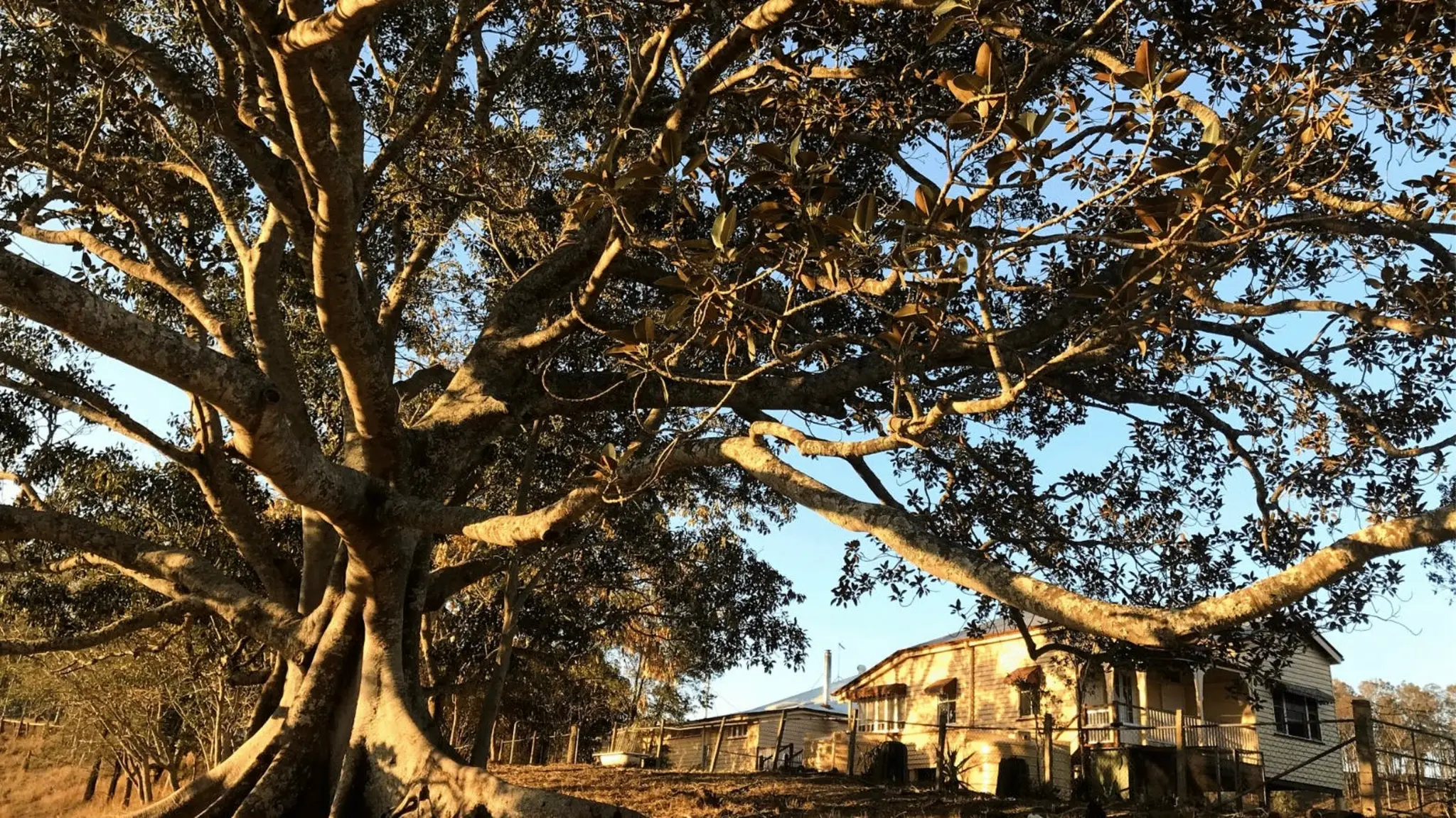 Laceys_Creek_Homestead_and_Vineyard_3