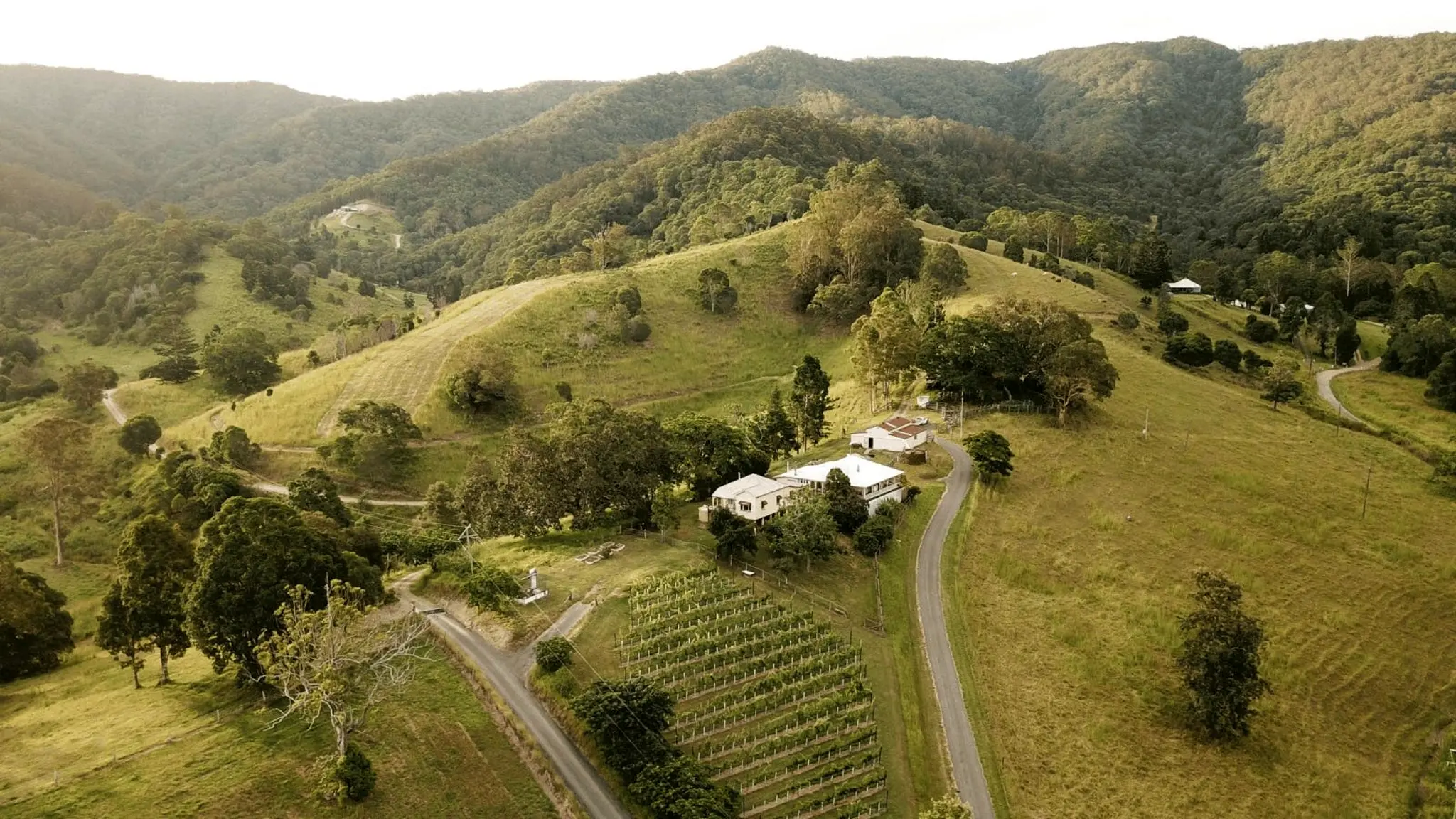 Laceys_Creek_Homestead_and_Vineyard_9