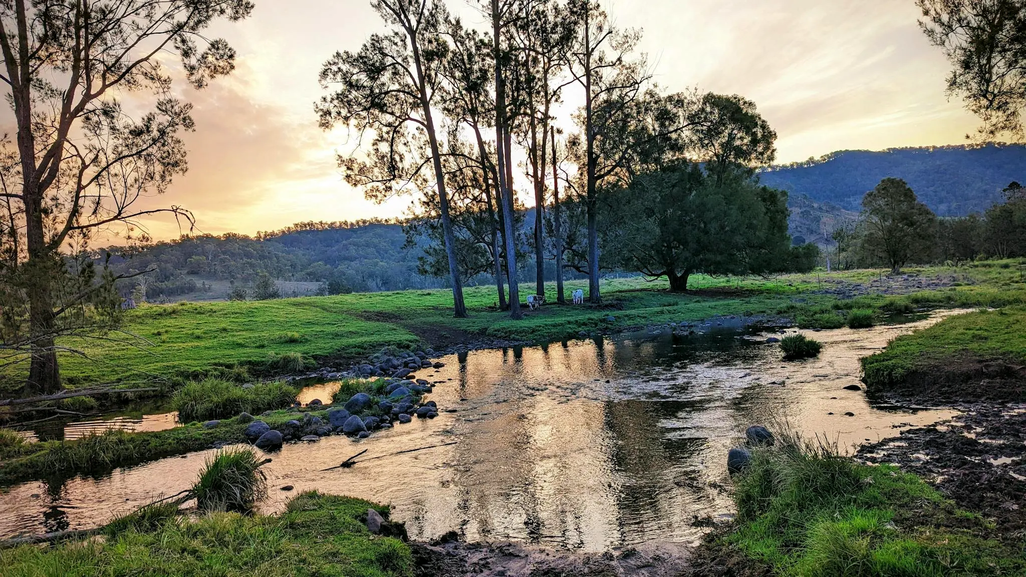 Ladybrook_Farm_Escape_4