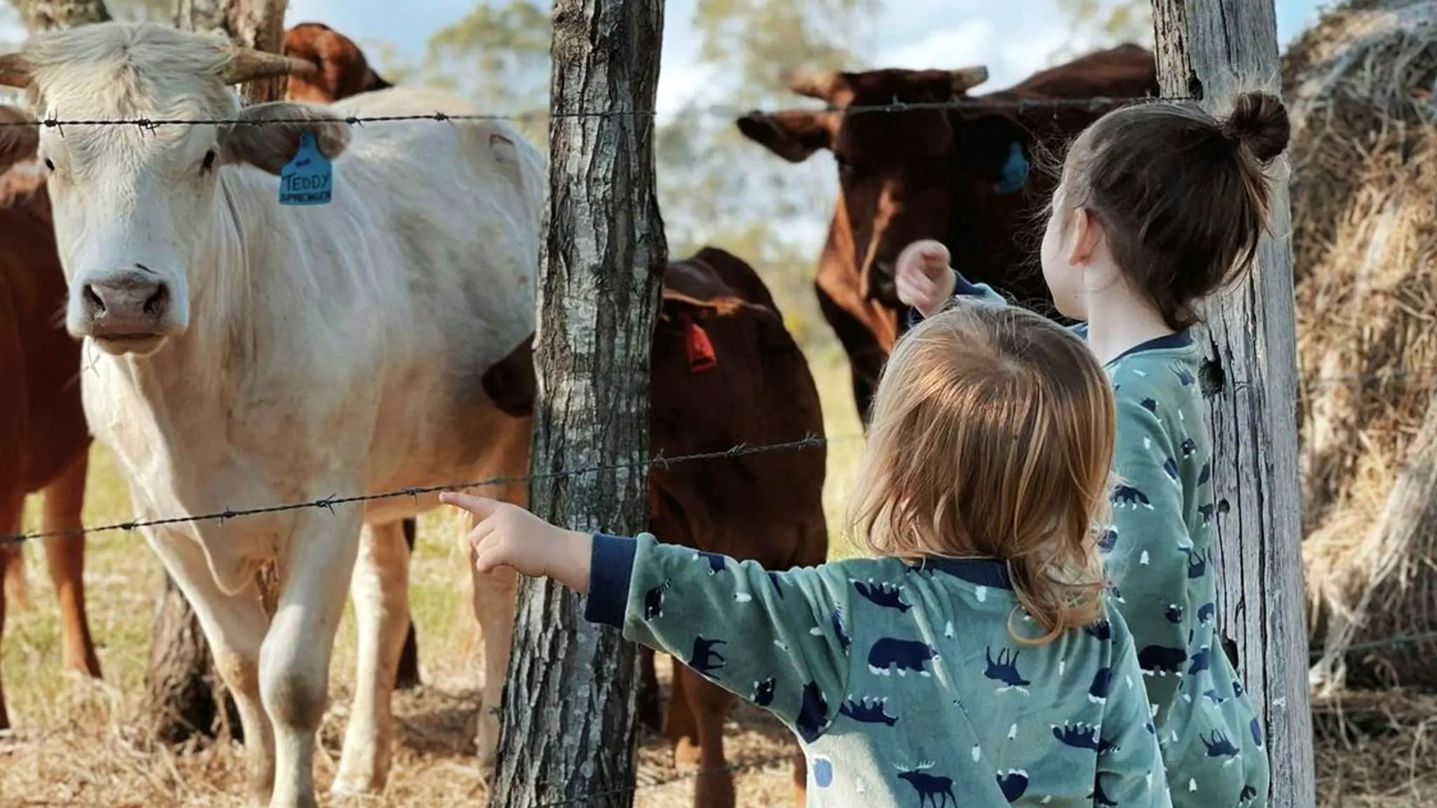 Lake_Hagislea_Farm_4
