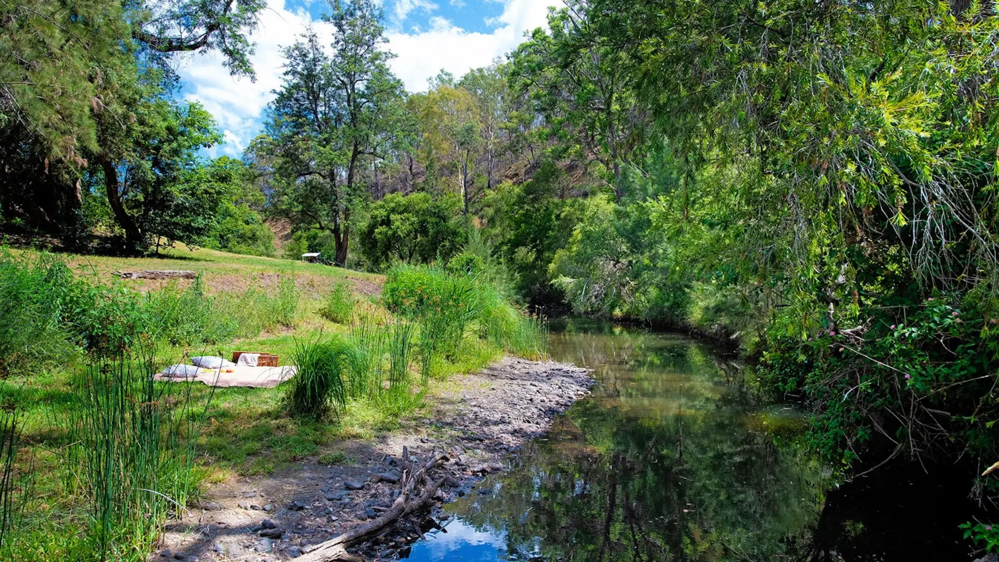 Lost_World_River_Retreat_5
