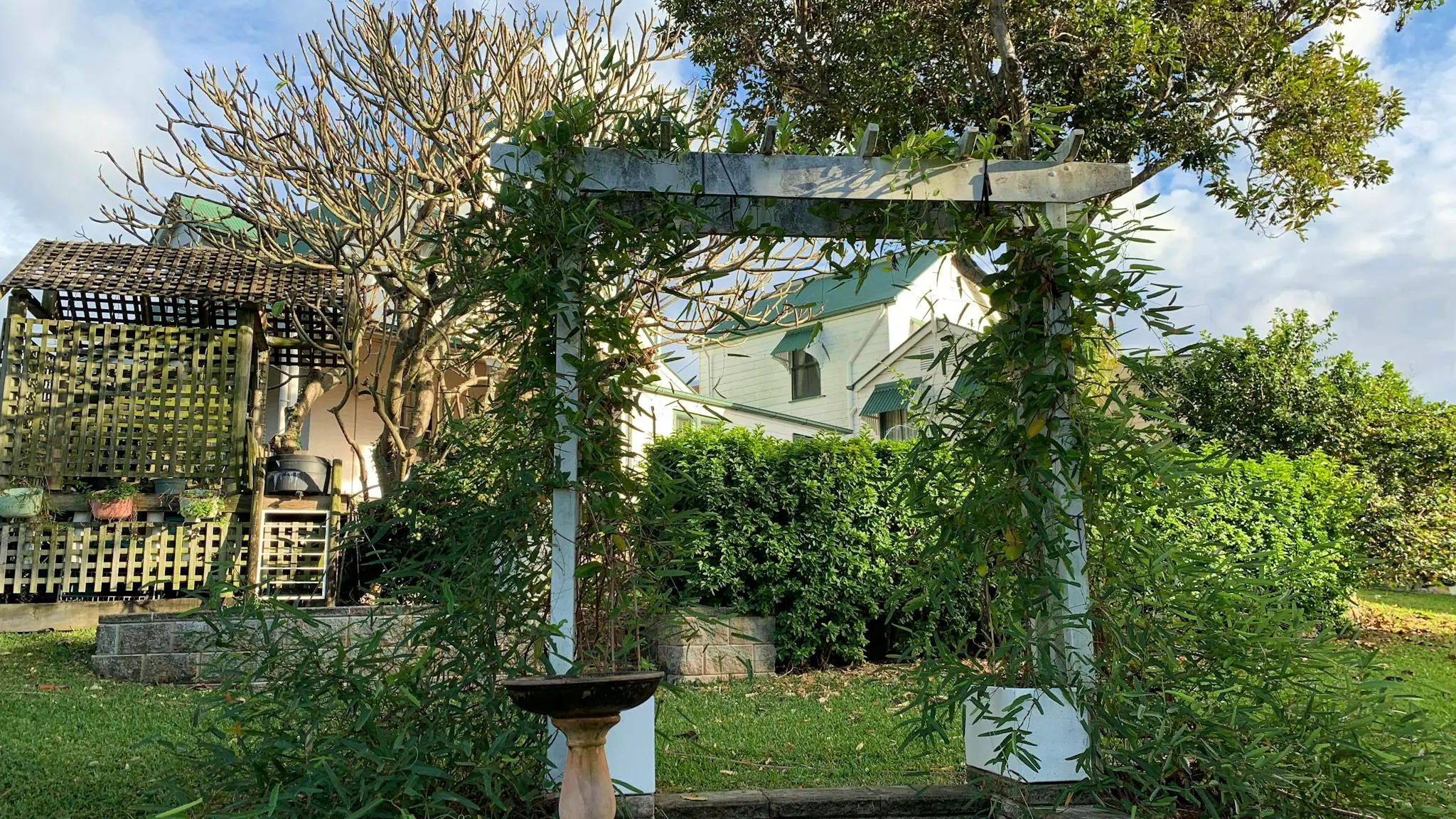 Lucerne_on_Fernberg_2