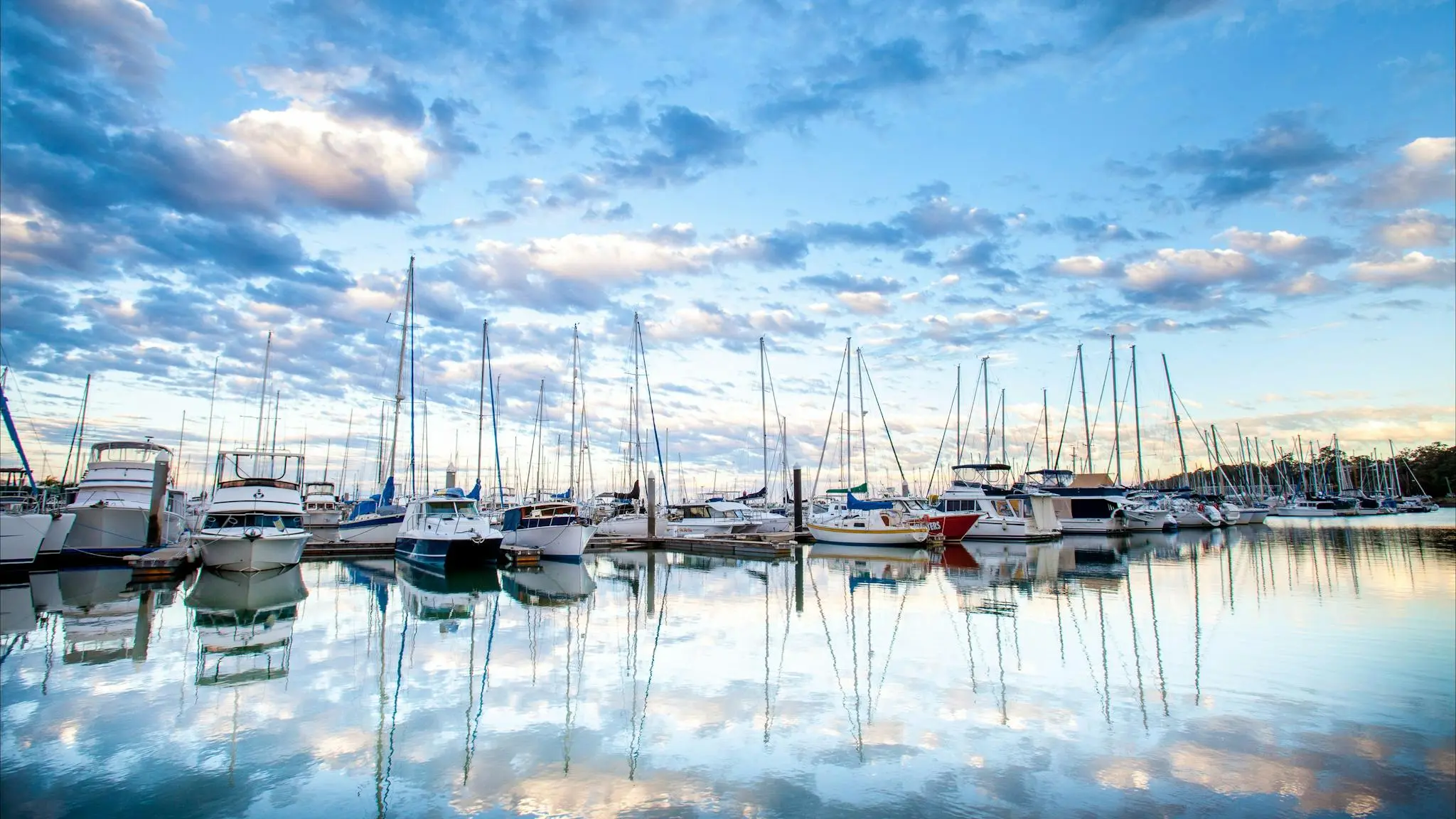 Manly_Marina_Cove_Motel_5