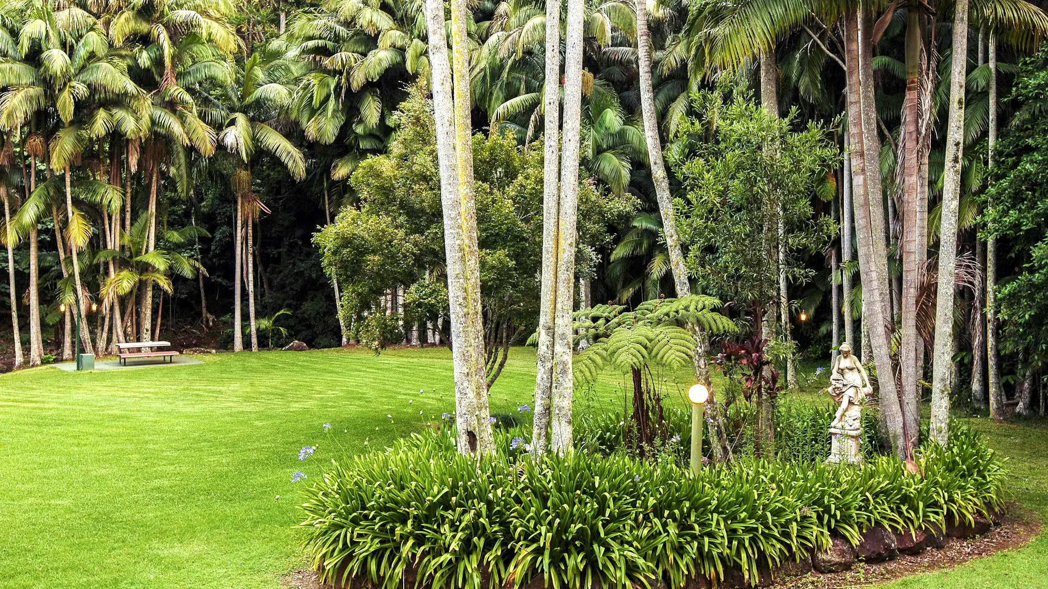 Mt_Tamborine_Stonehaven_Guest_House_8