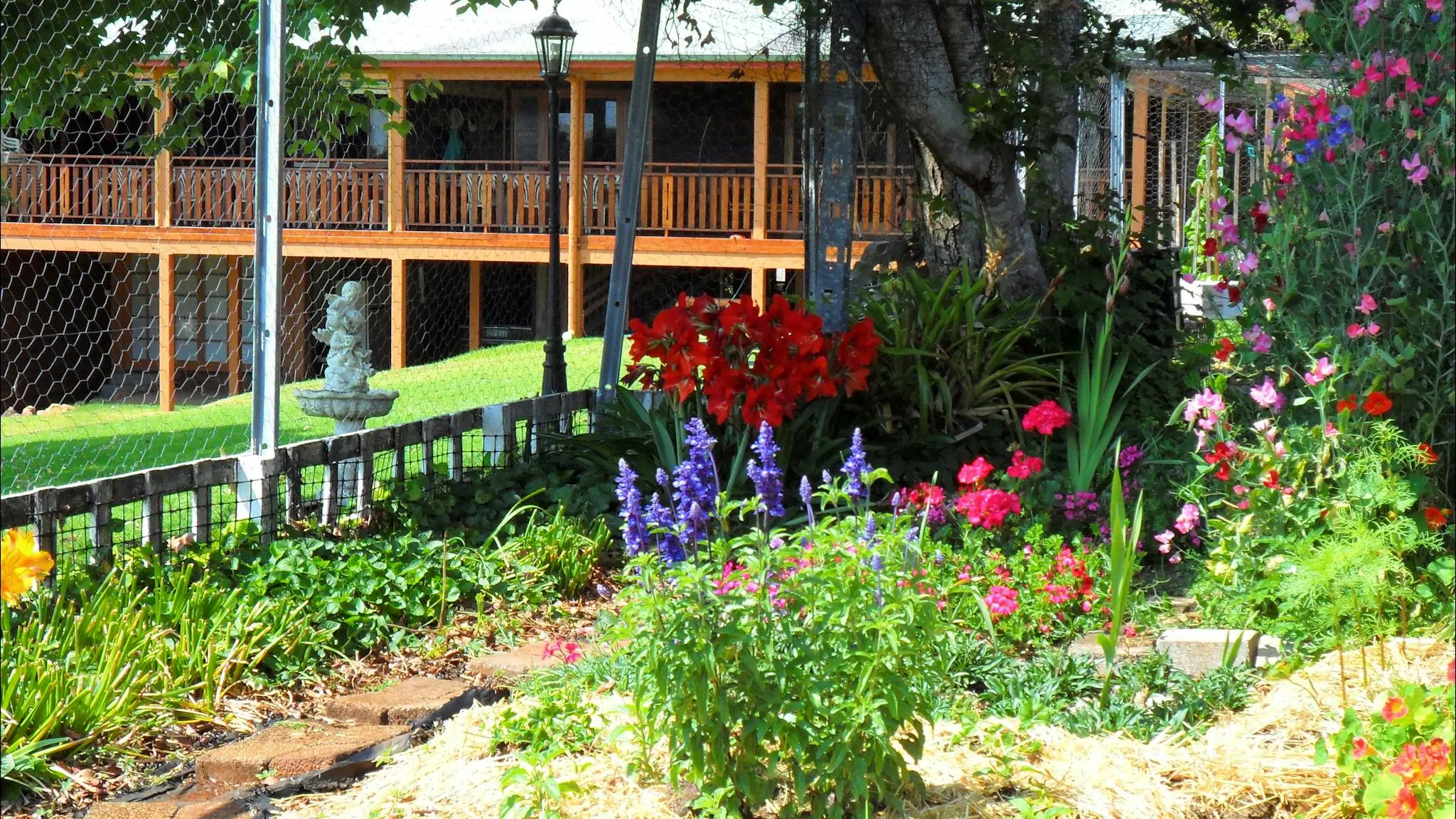 Mystery_Mountain_Farmstay_1
