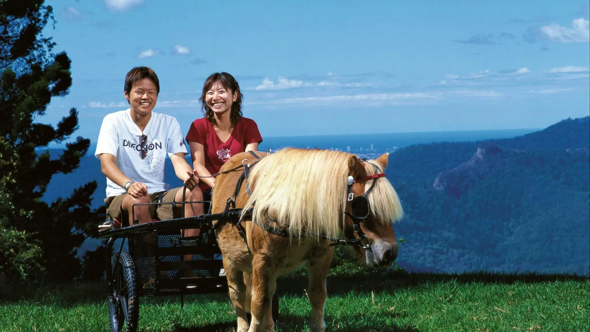 Mystery_Mountain_Farmstay_7