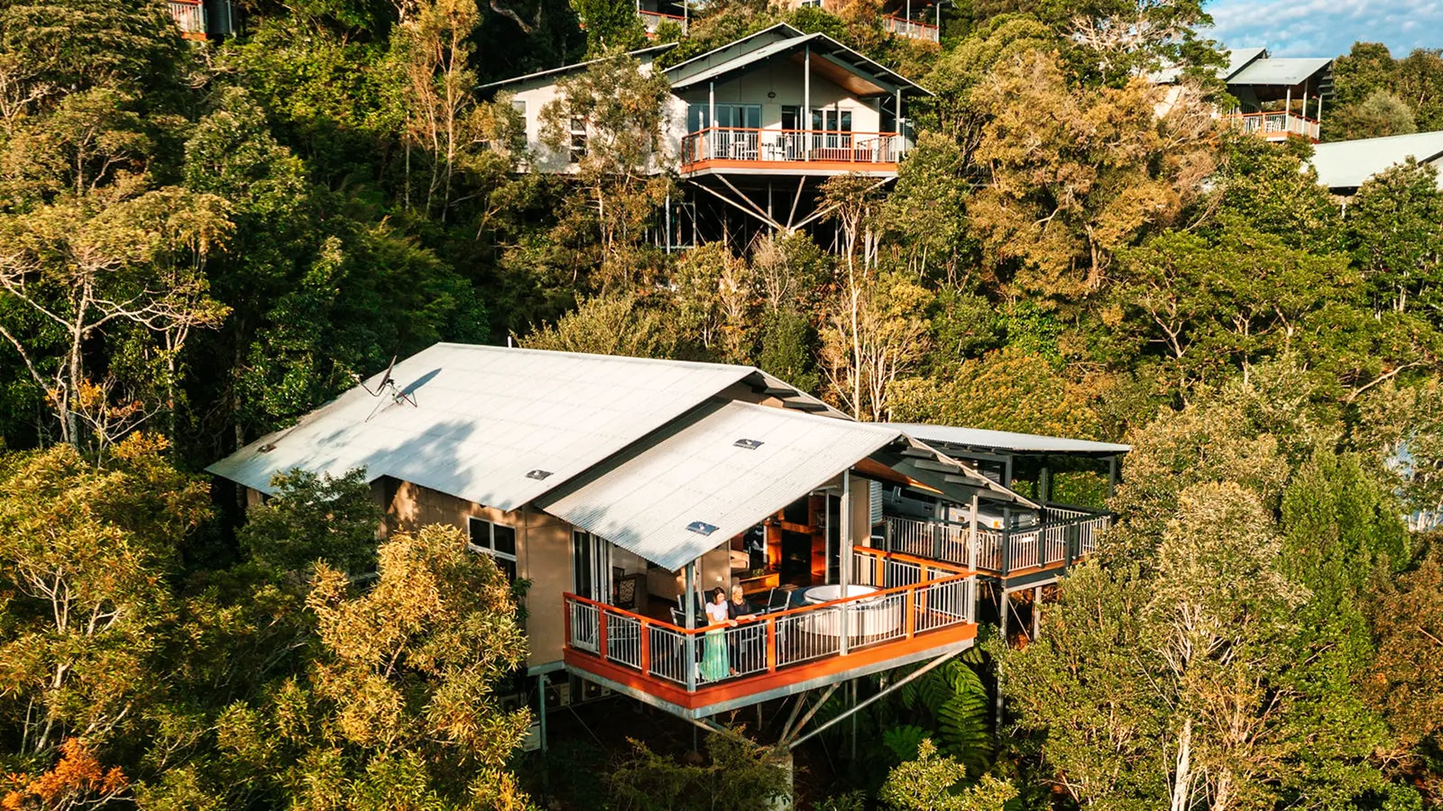 O'Reilly's_Rainforest_Retreat_10