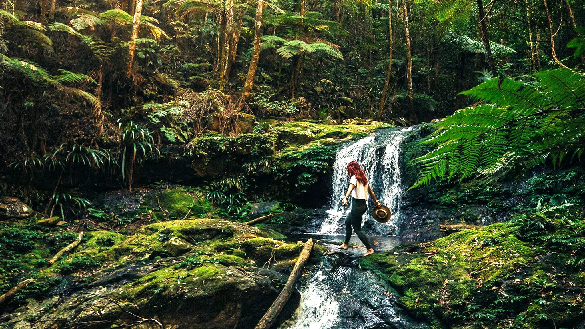 O'Reilly's_Rainforest_Retreat_7