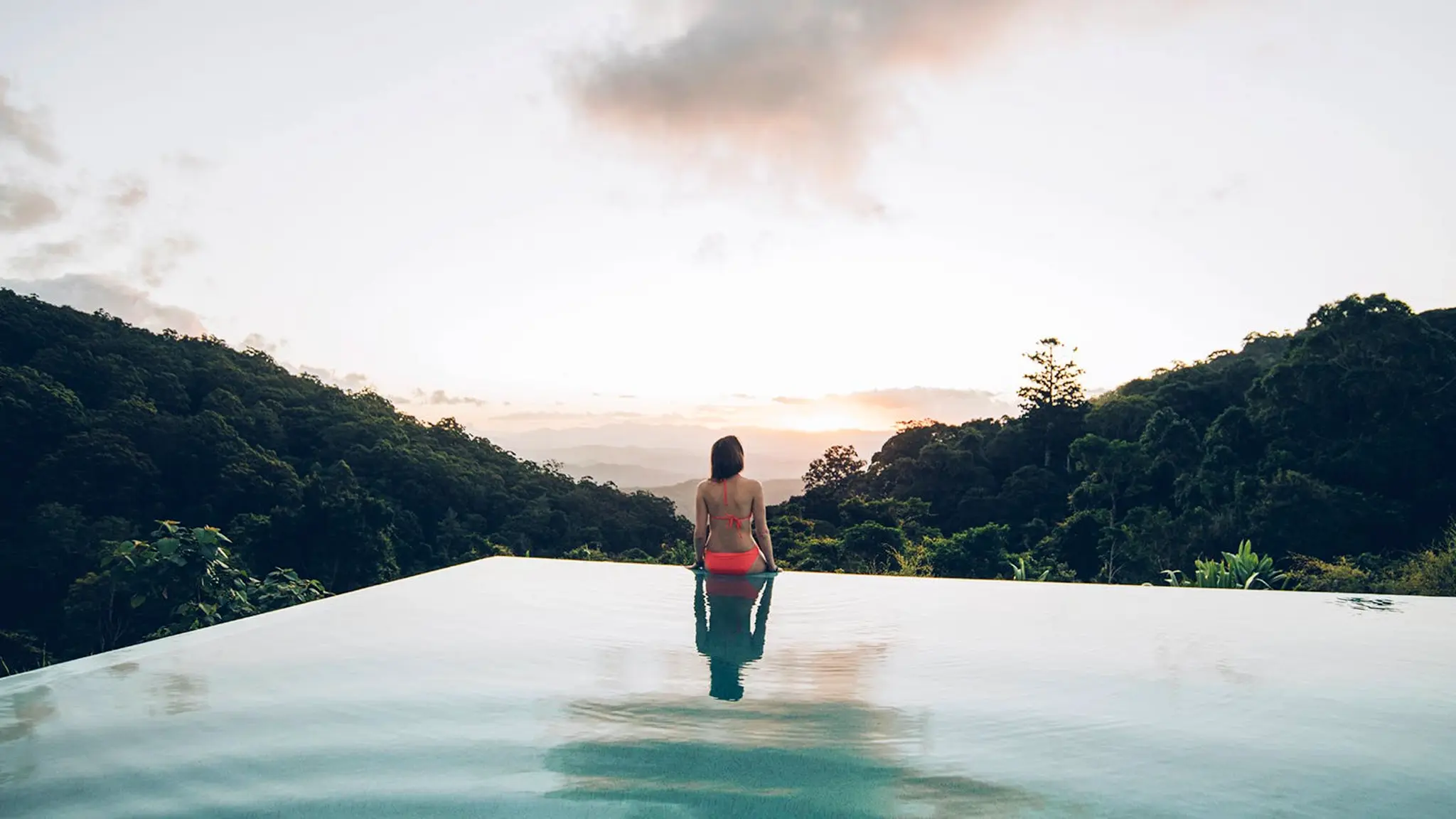 O'Reilly's_Rainforest_Retreat_8