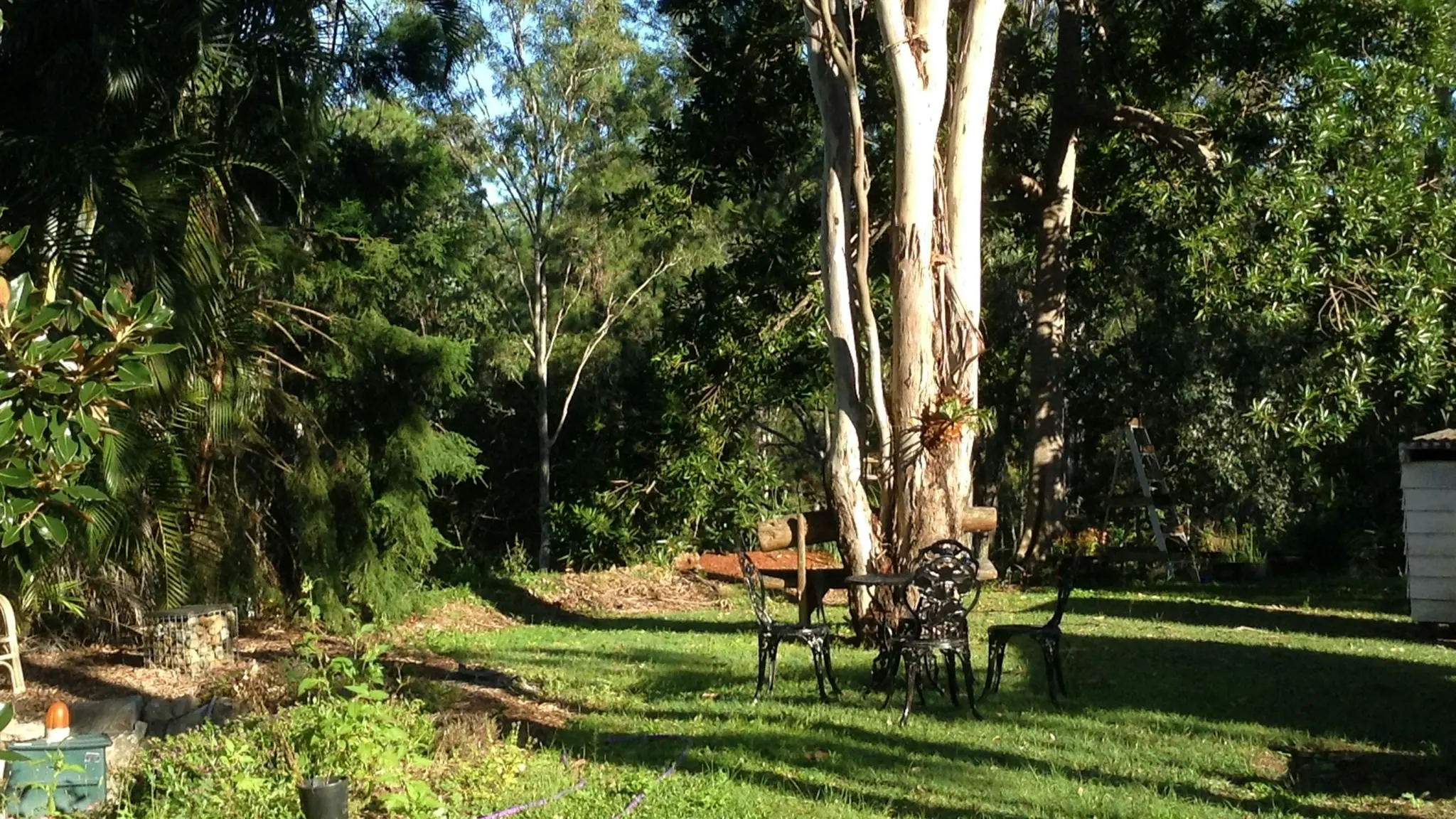 Pluck_A_Duck_Creek_Camp_5