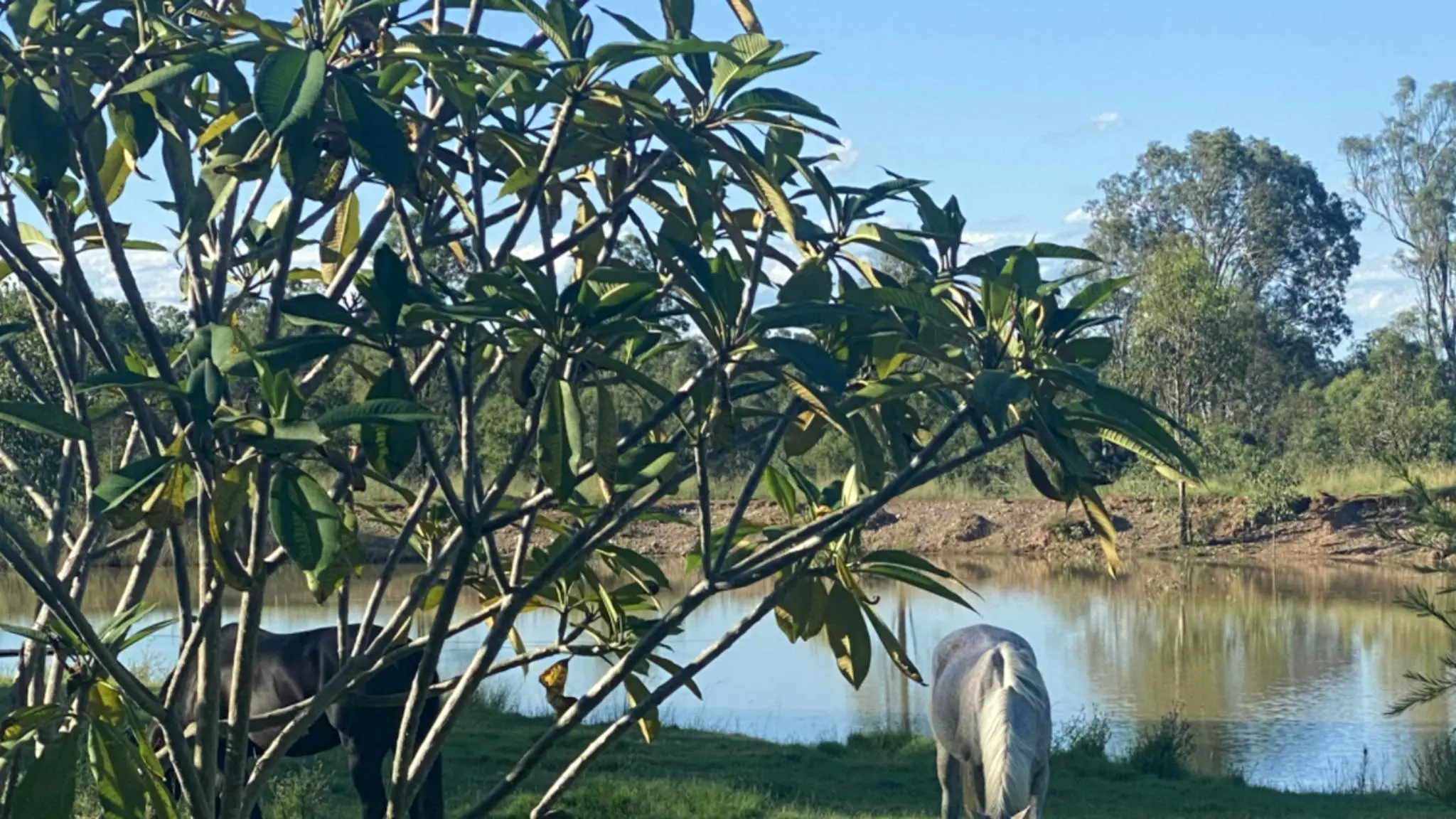 Poores_Outback_Property_1