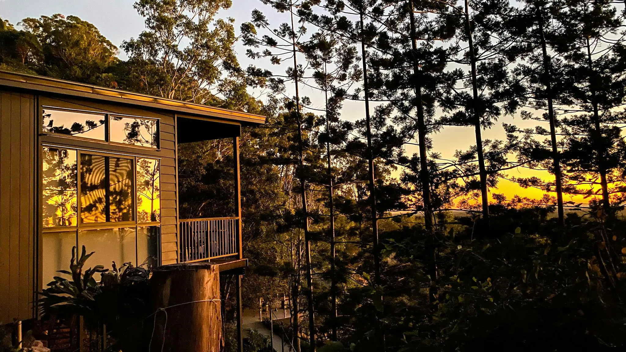 Rainforest_Gardens_Escape_2