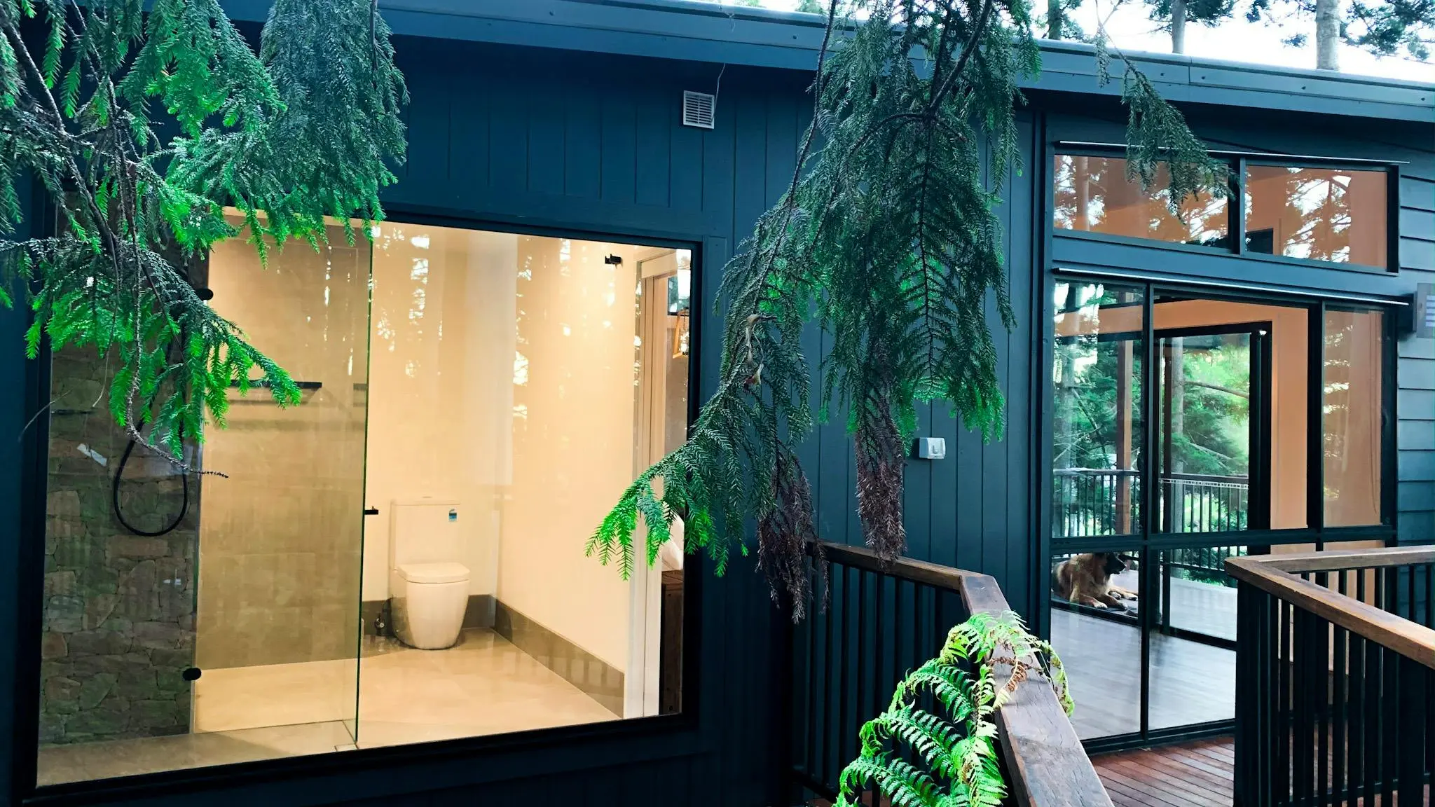 Rainforest_Gardens_Escape_7