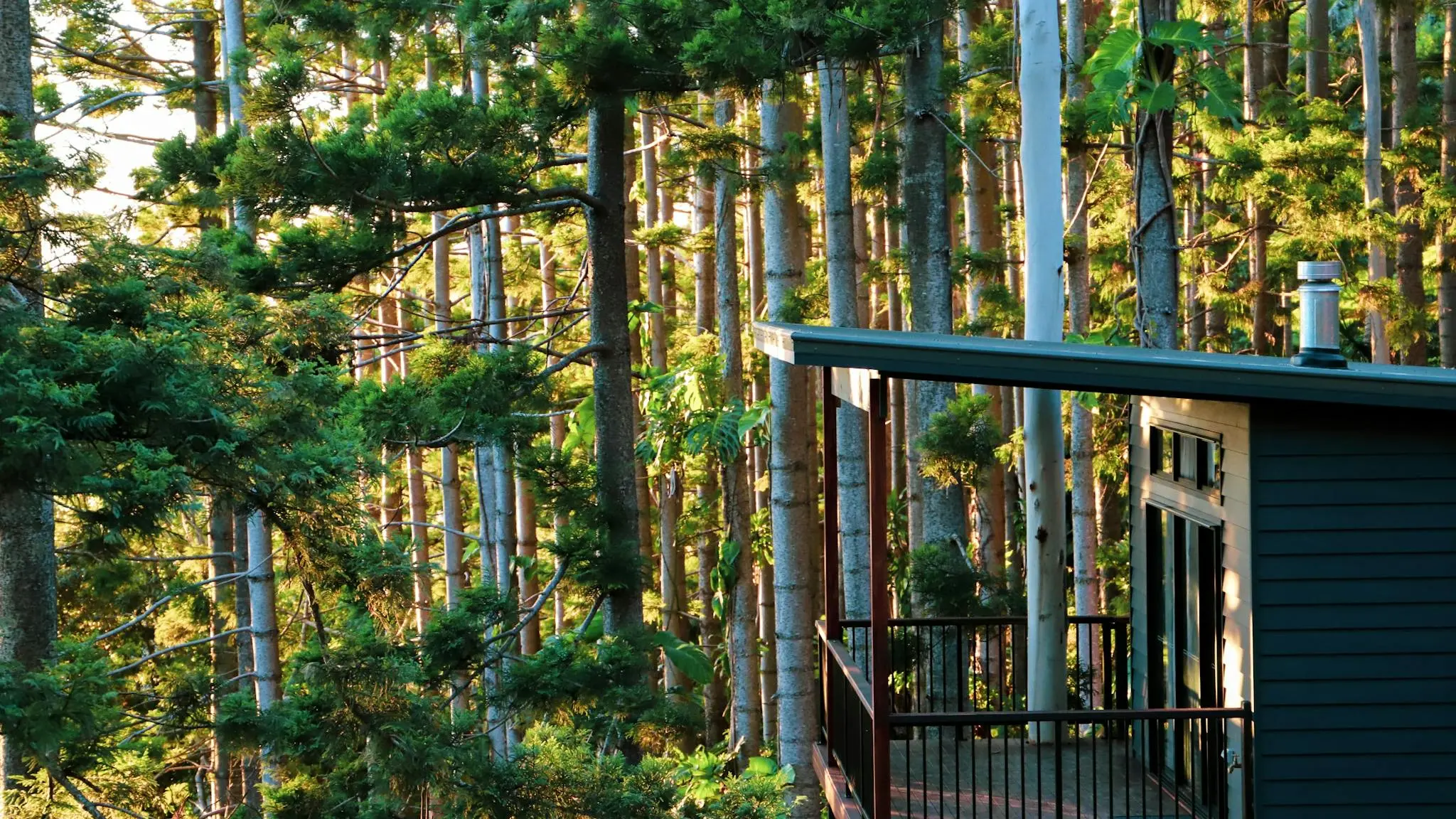 Rainforest_Gardens_Escape_9