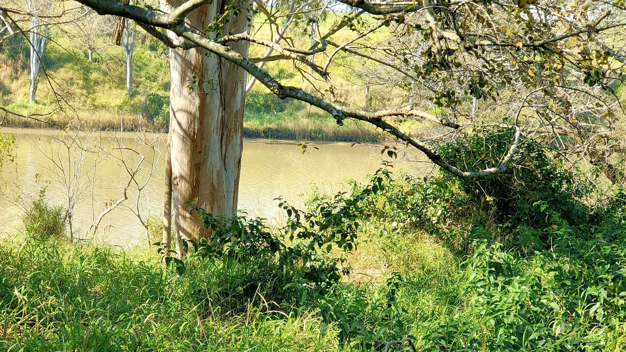 Riverfront_Hobby_Farmstay_2
