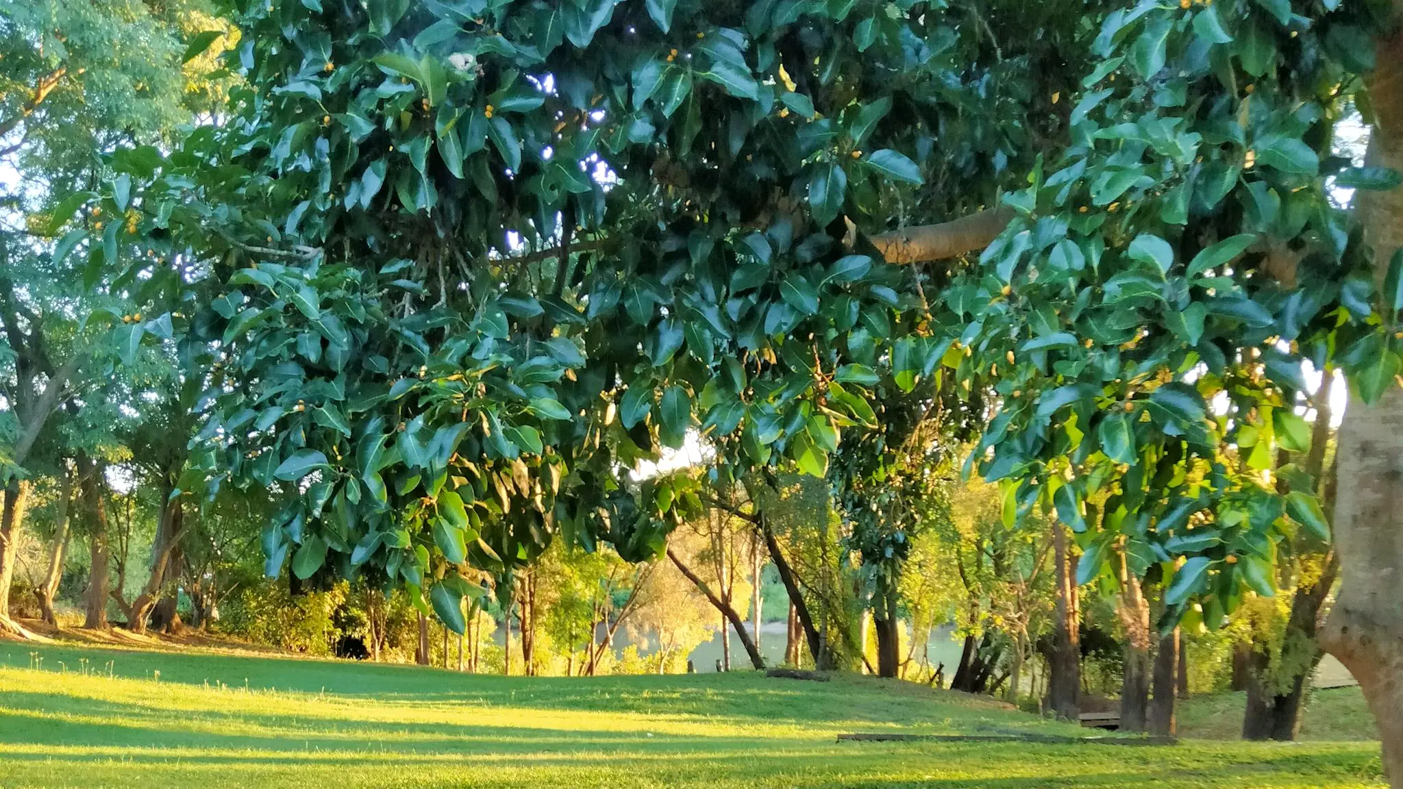 Riverside_Farm_2