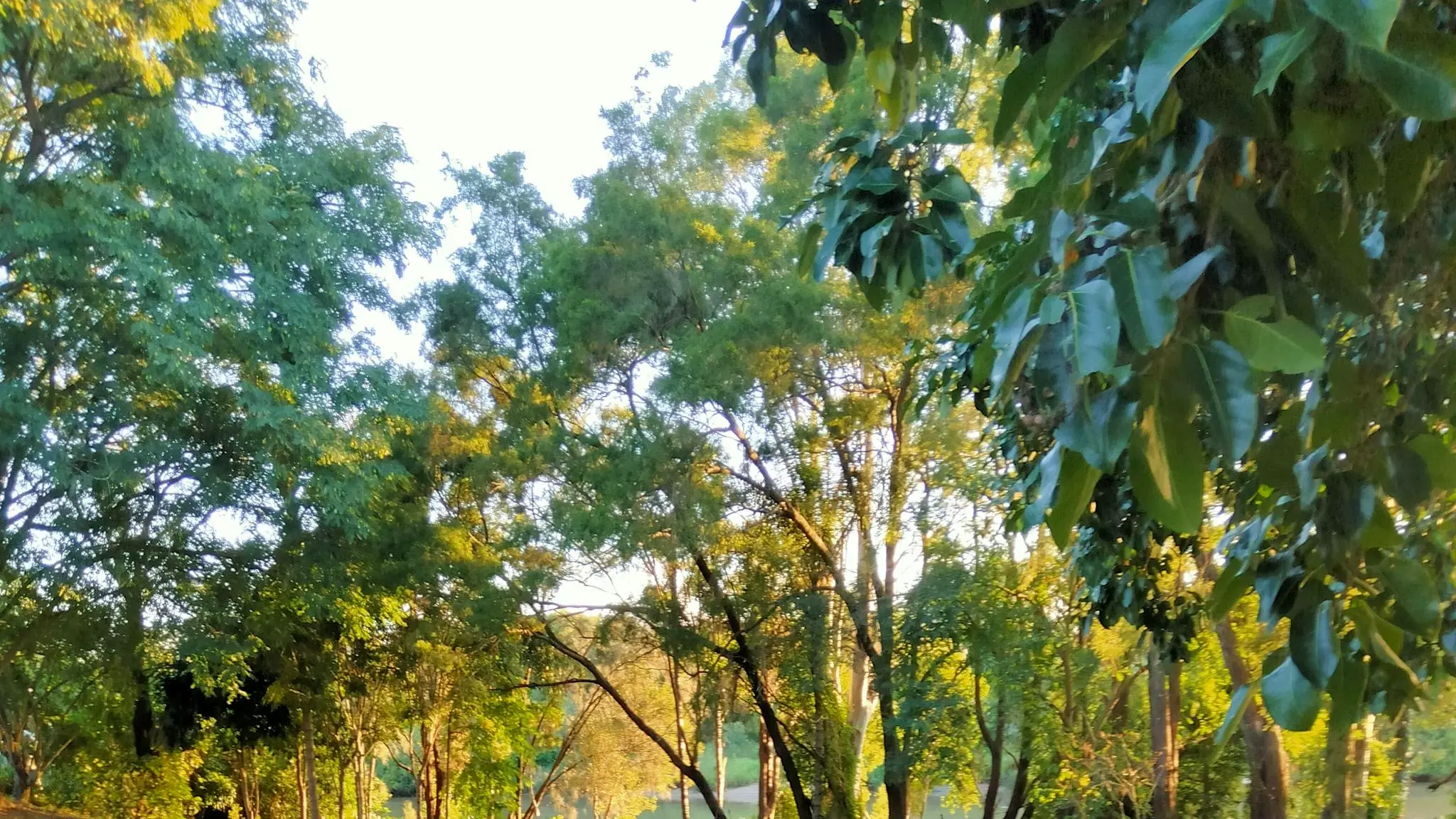 Riverside_Farm_4
