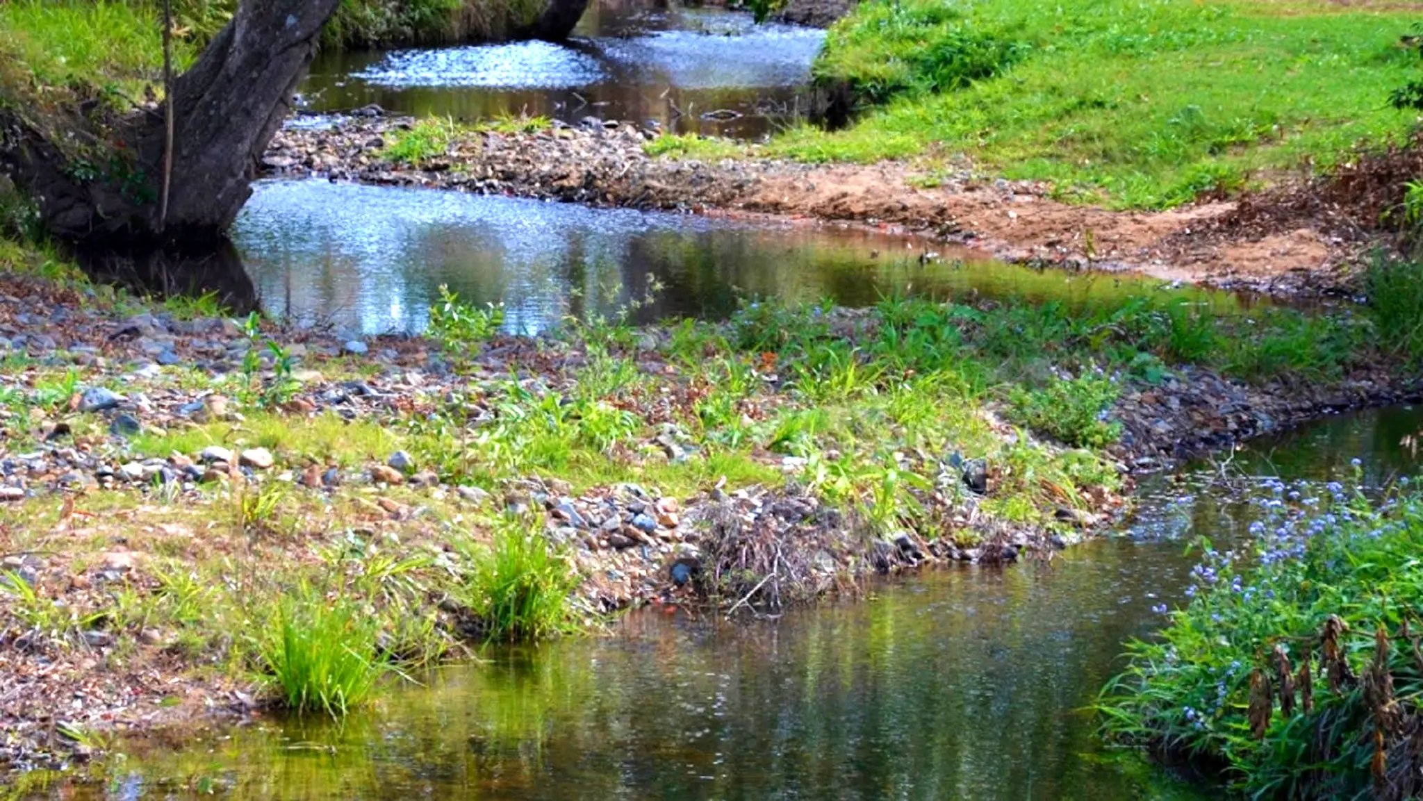 Running_Creek_Camping_5