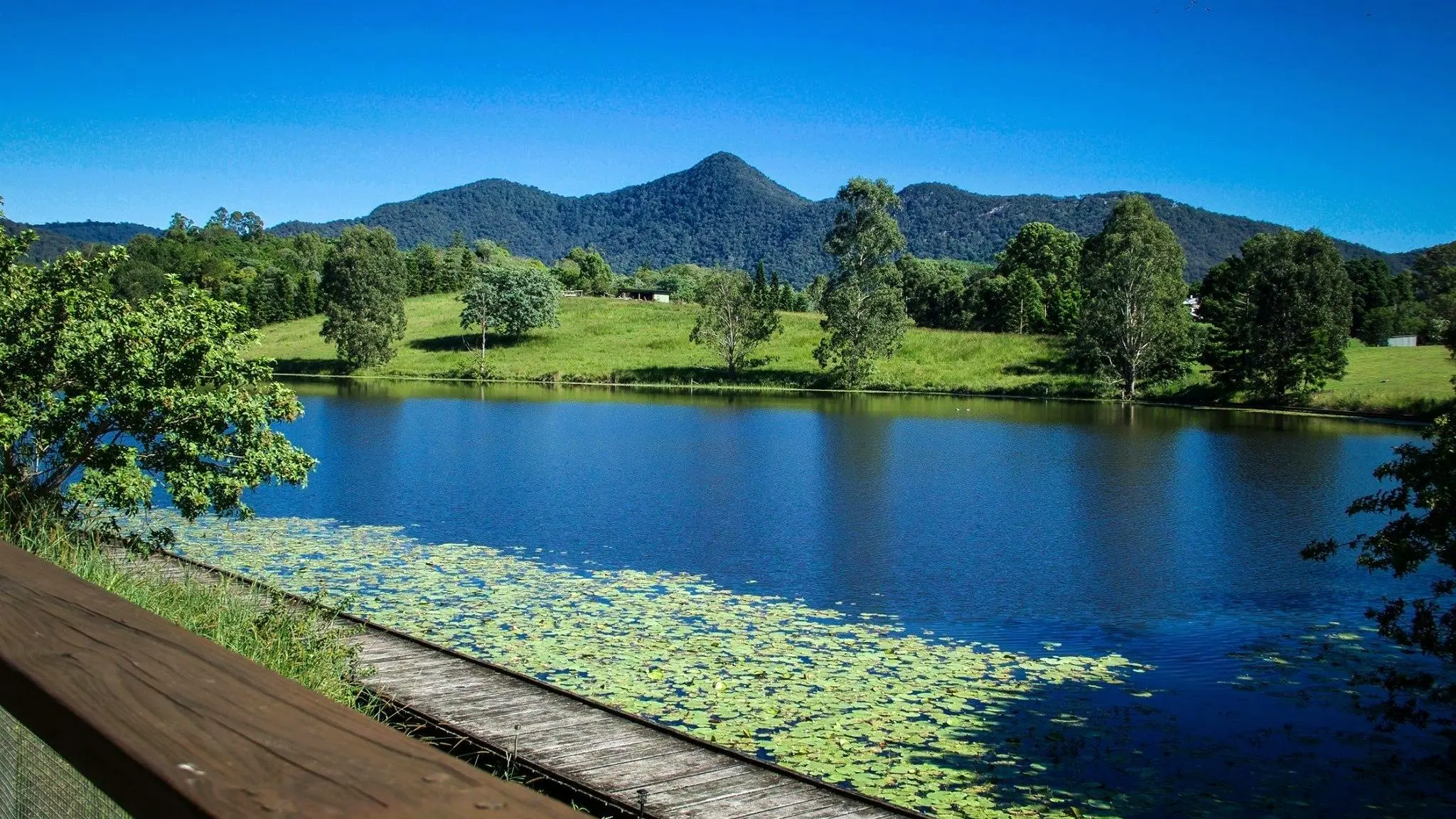 Samford_Lakes_Accommodation_3