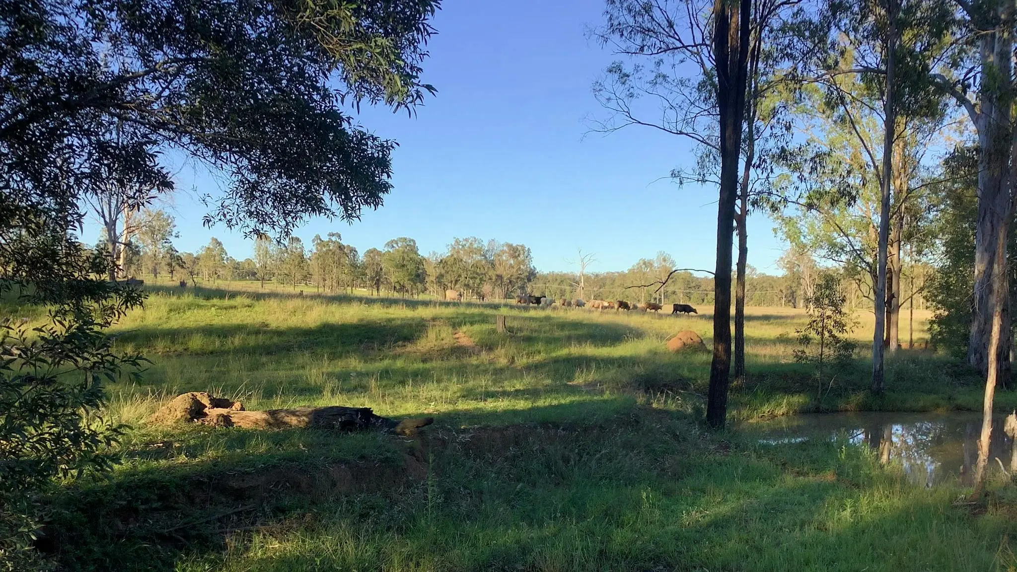 Sandy_Creek_Camping_1