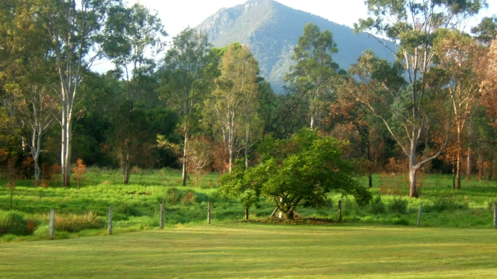 Scenic_Rim_Motel_at_Aratula_Village_8
