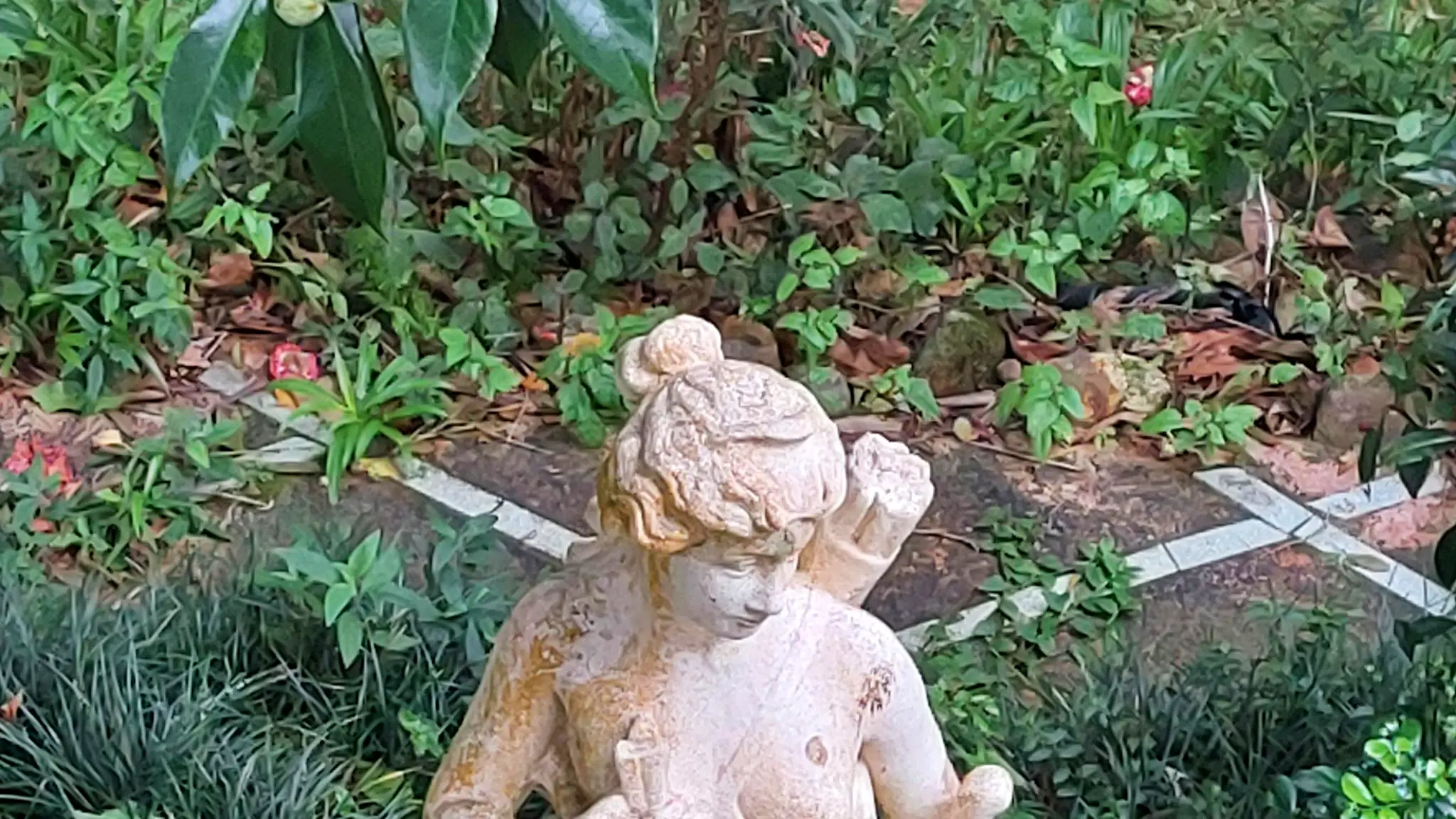 Serenity_views_4