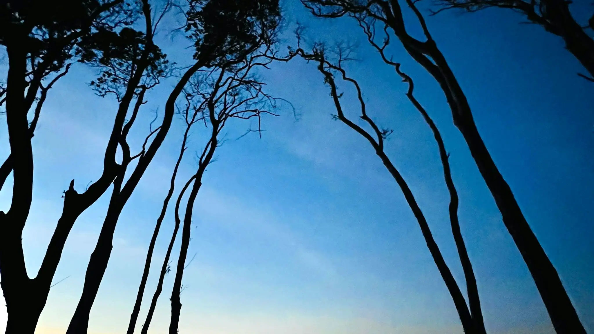 Siamity_Shores_6