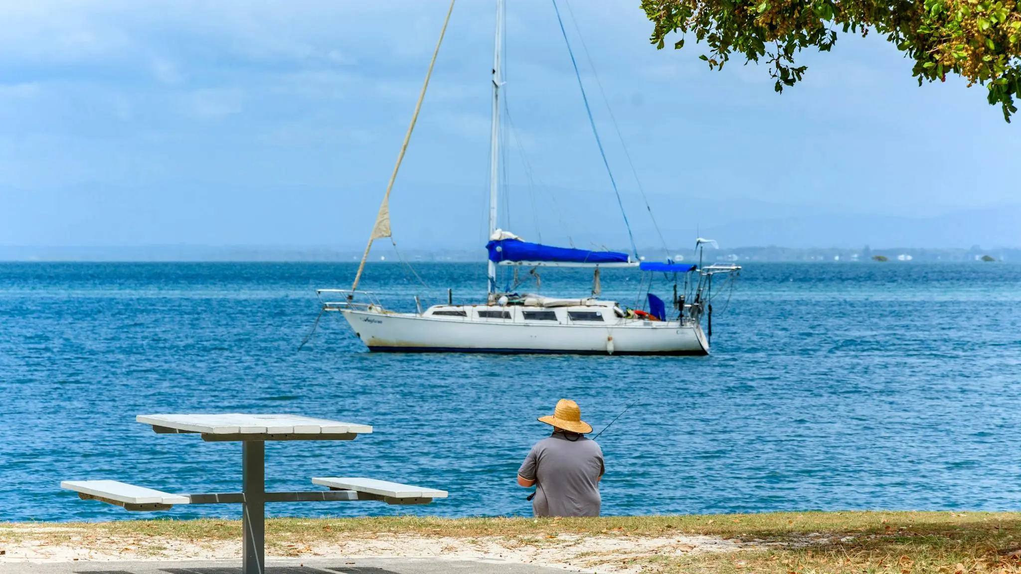 Songbirds_On_Bribie_3