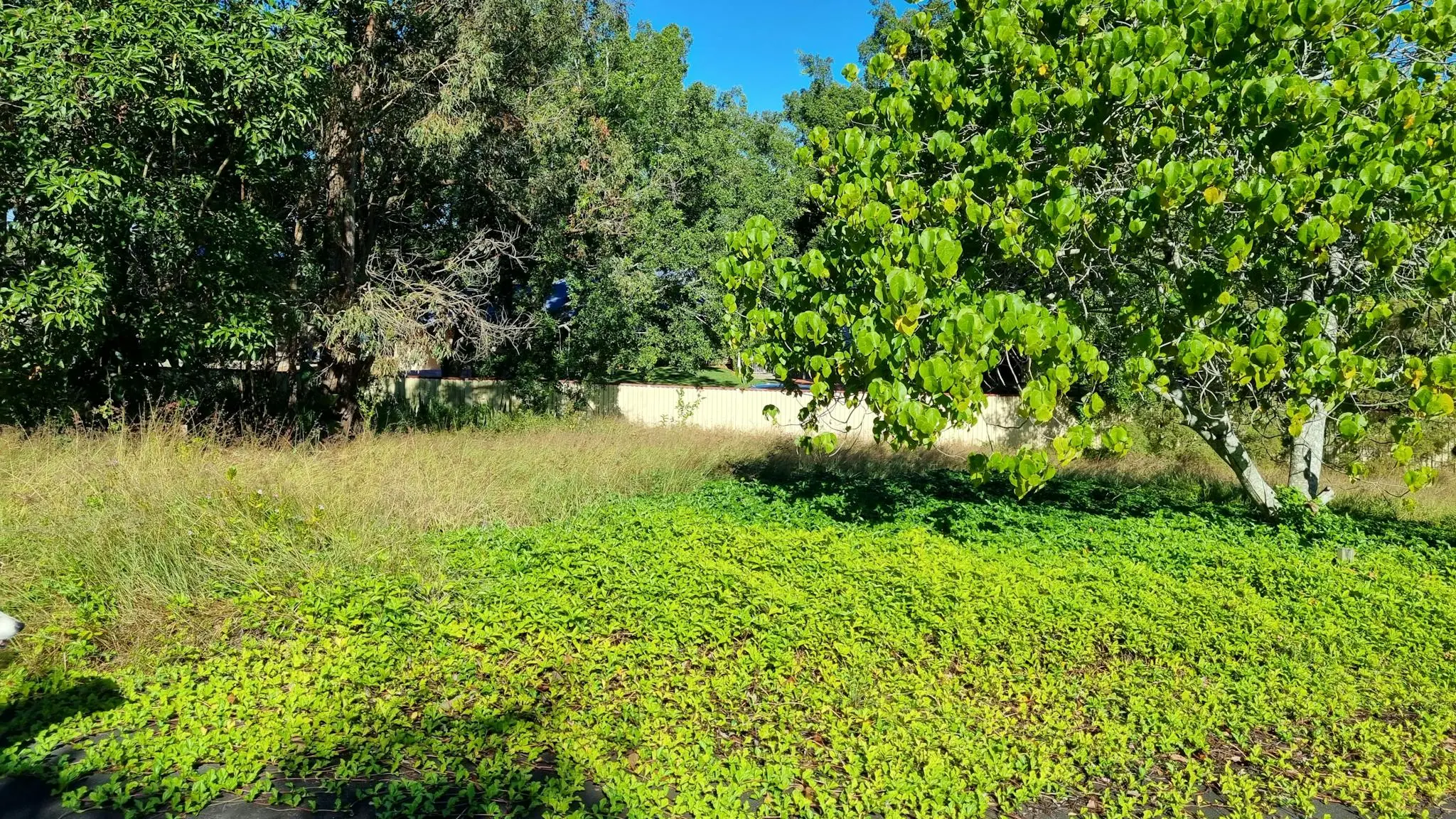 Suburban_Natural_Bushland_4