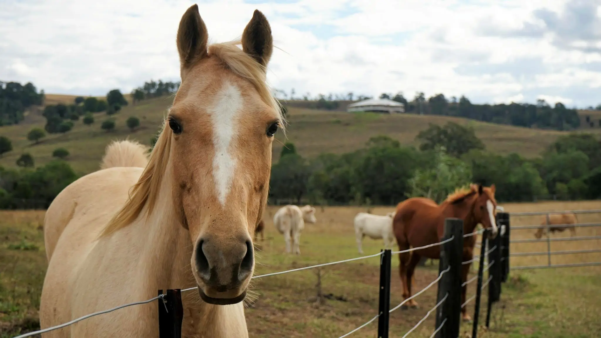 Tallavalley_Farm_B&B_1