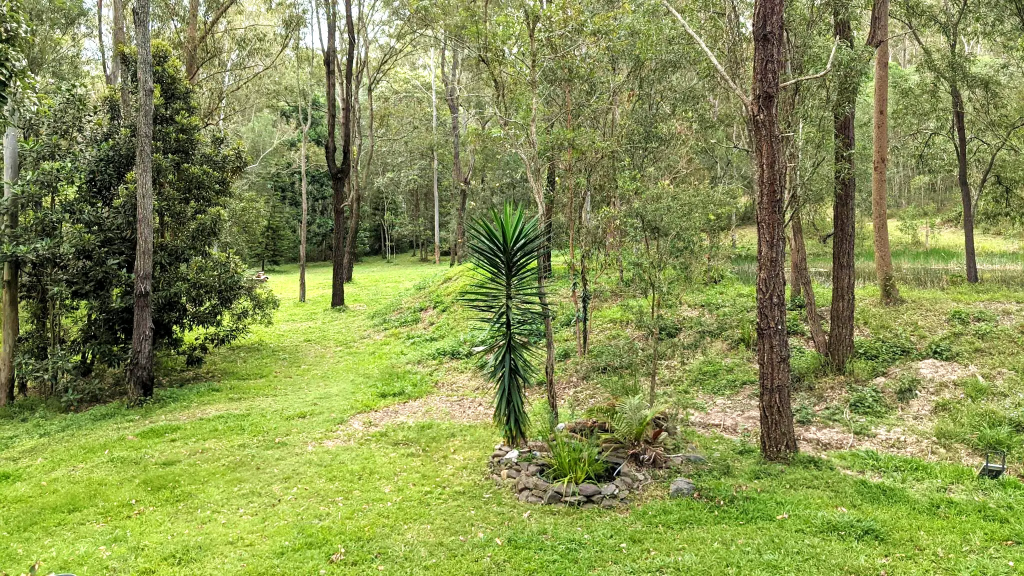 The_Grove_2